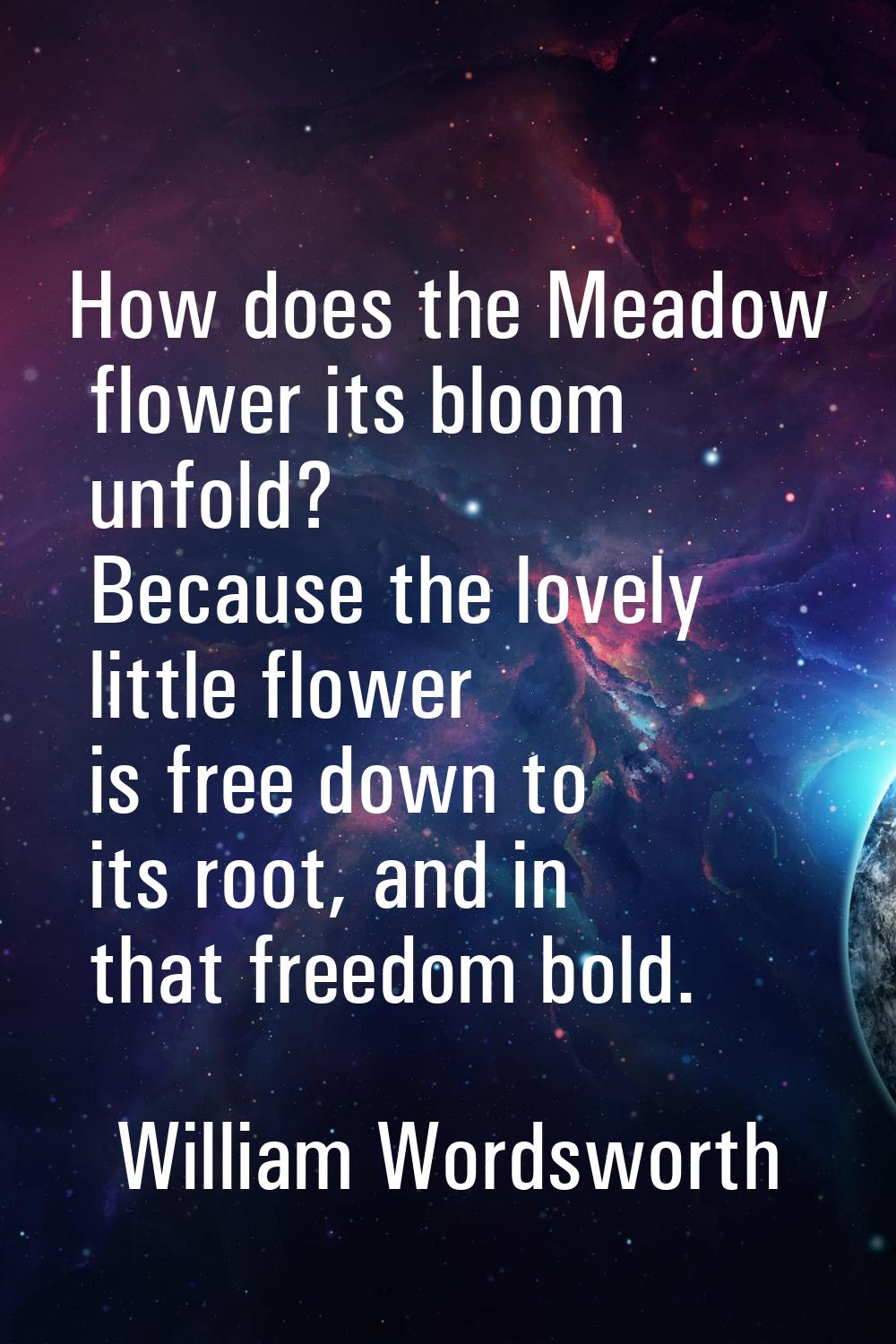 How does the Meadow flower its bloom unfold? Because the lovely little flower is free down to its r