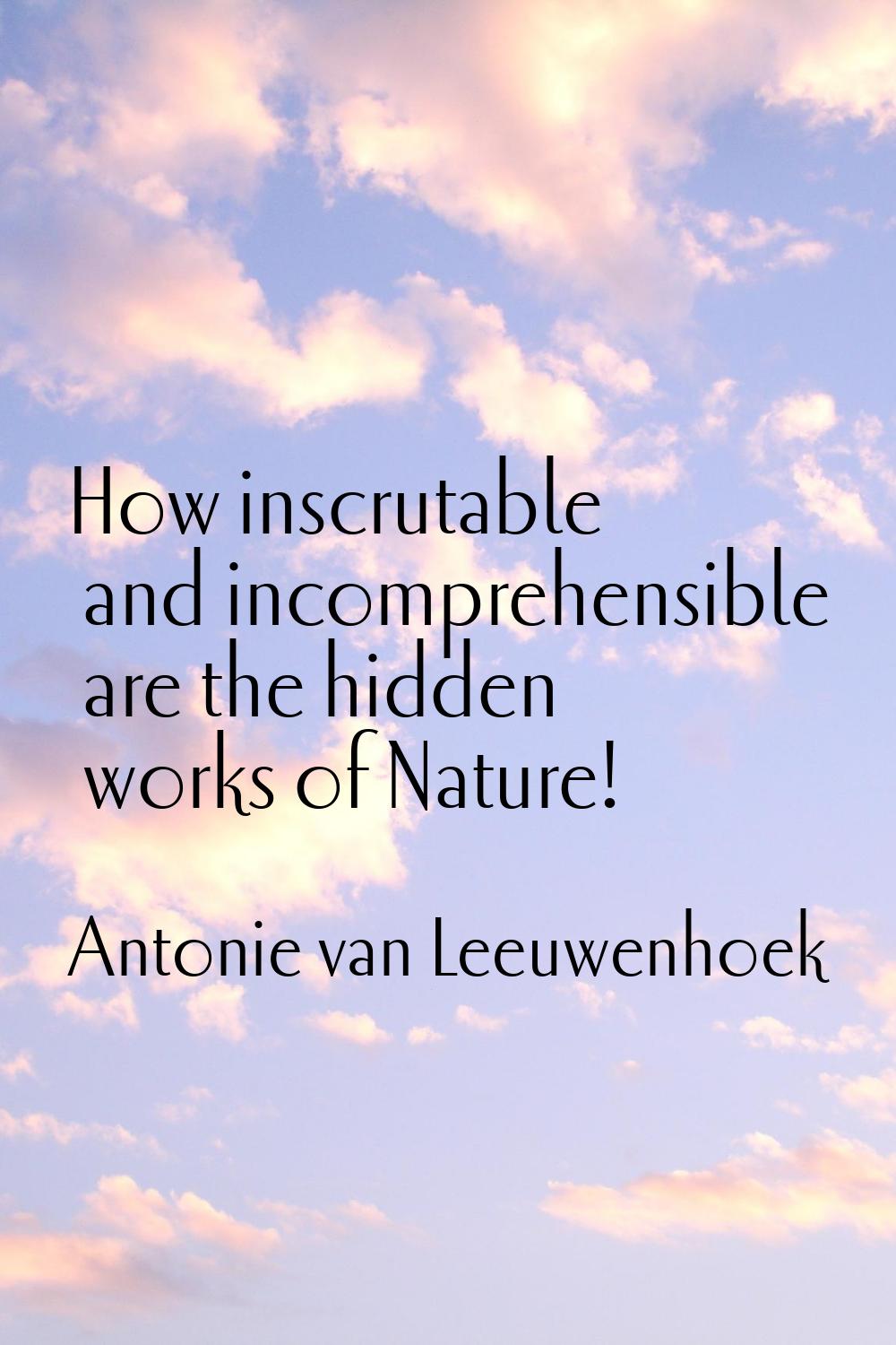 How inscrutable and incomprehensible are the hidden works of Nature!