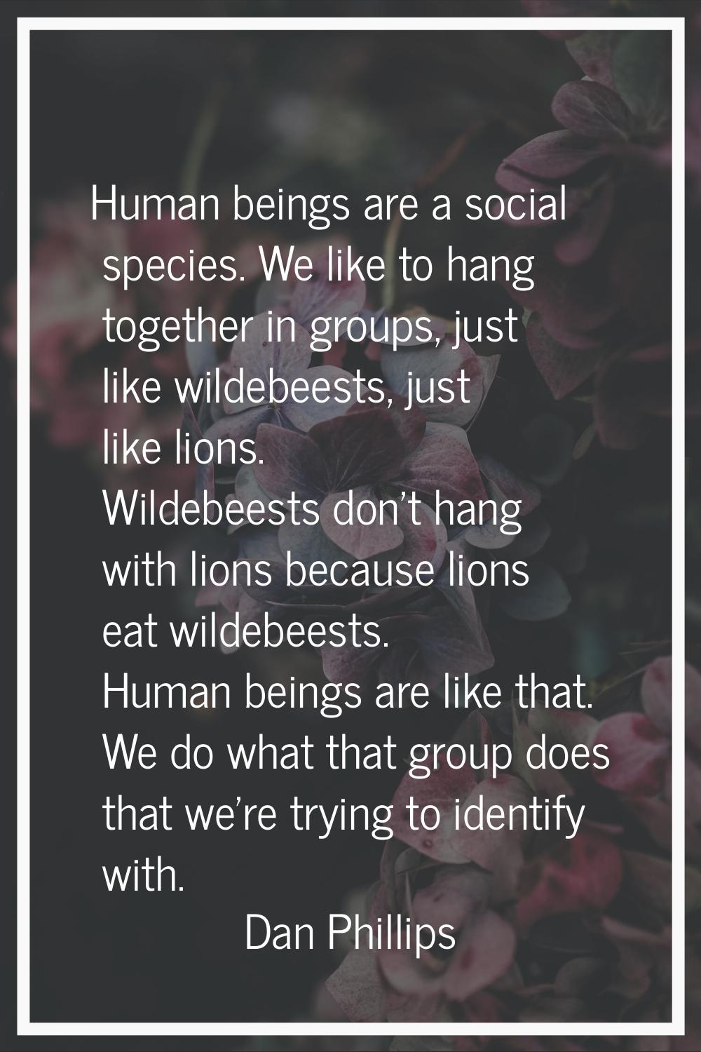 Human beings are a social species. We like to hang together in groups, just like wildebeests, just 
