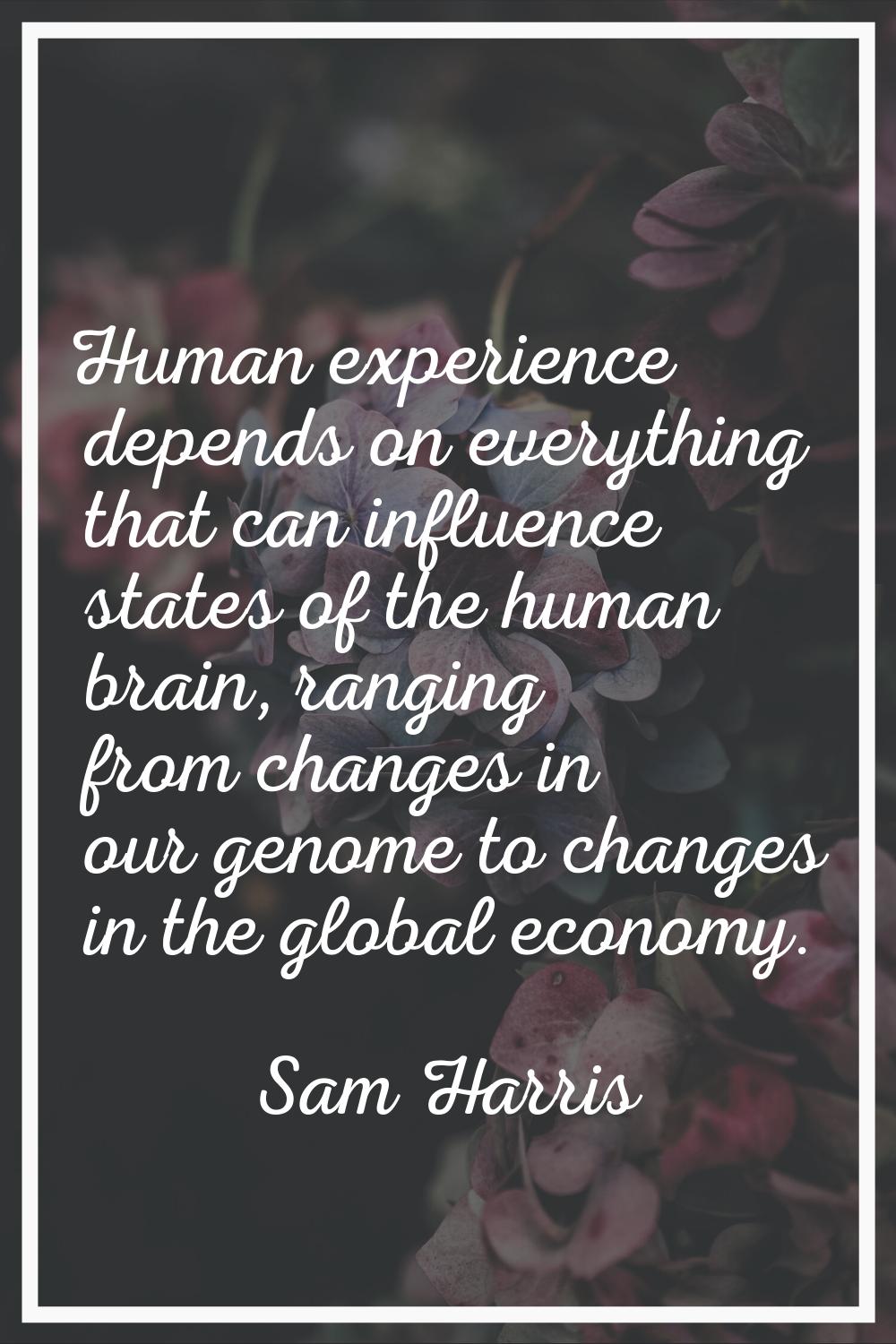 Human experience depends on everything that can influence states of the human brain, ranging from c