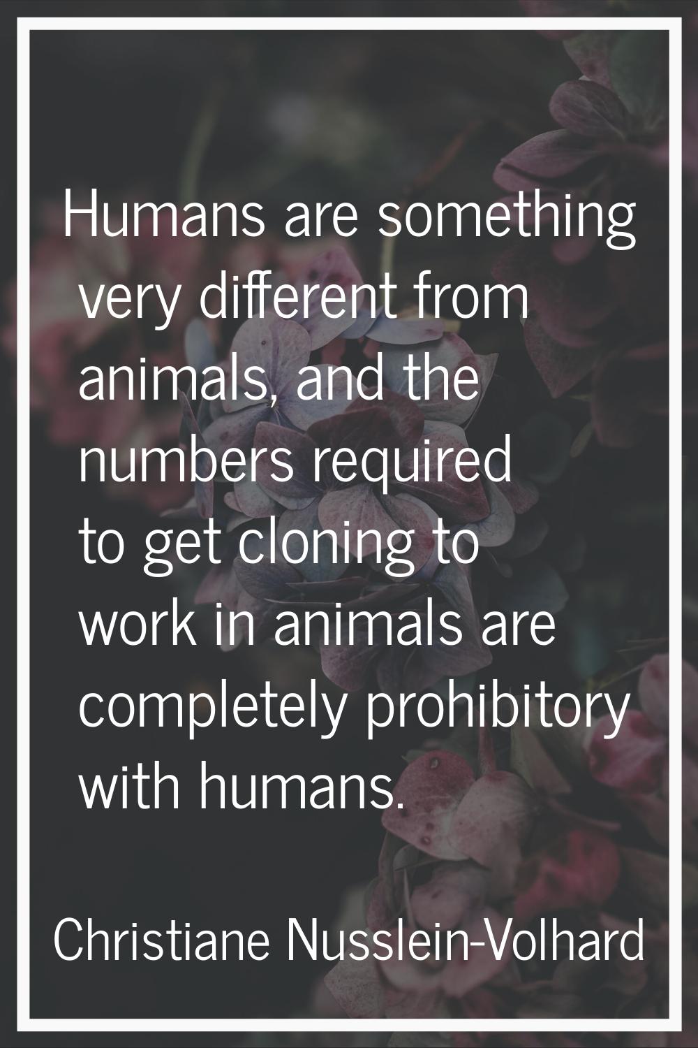 Humans are something very different from animals, and the numbers required to get cloning to work i