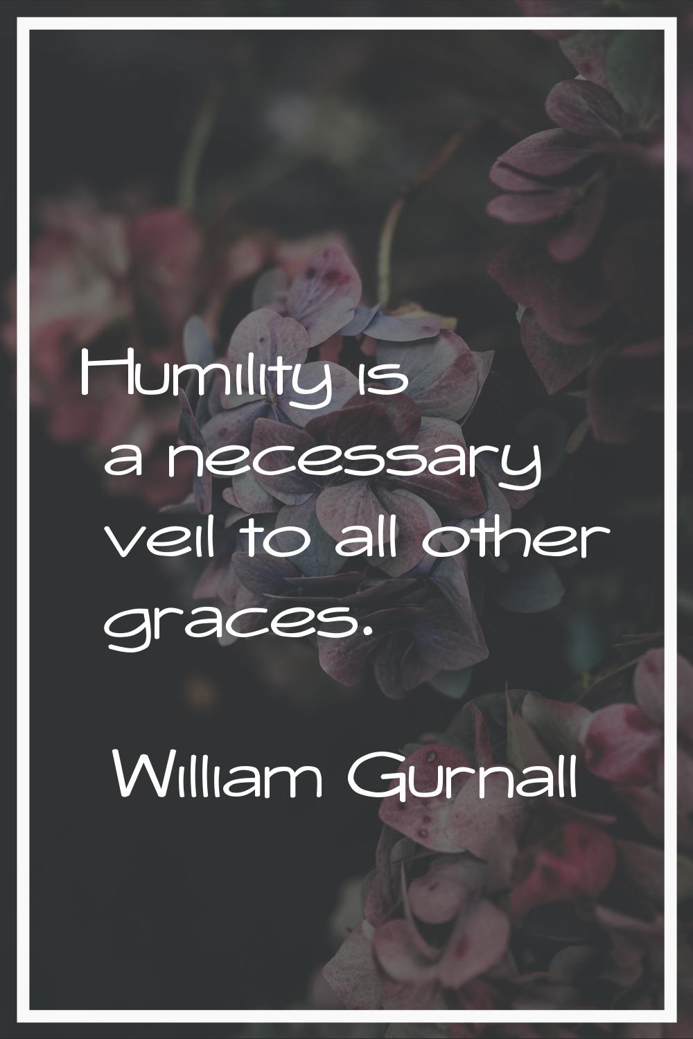 Humility is a necessary veil to all other graces.