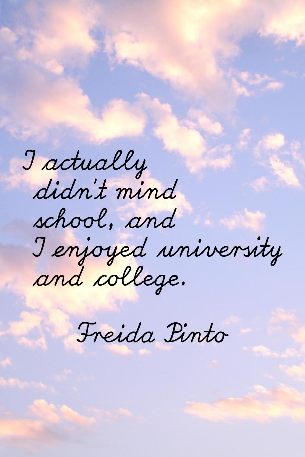 I actually didn't mind school, and I enjoyed university and college.