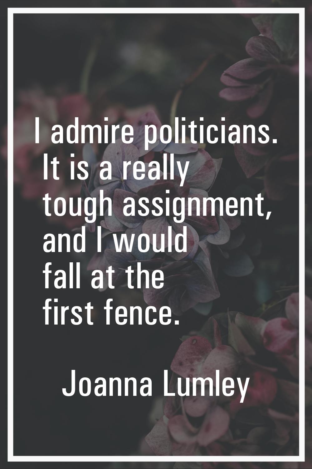 I admire politicians. It is a really tough assignment, and I would fall at the first fence.