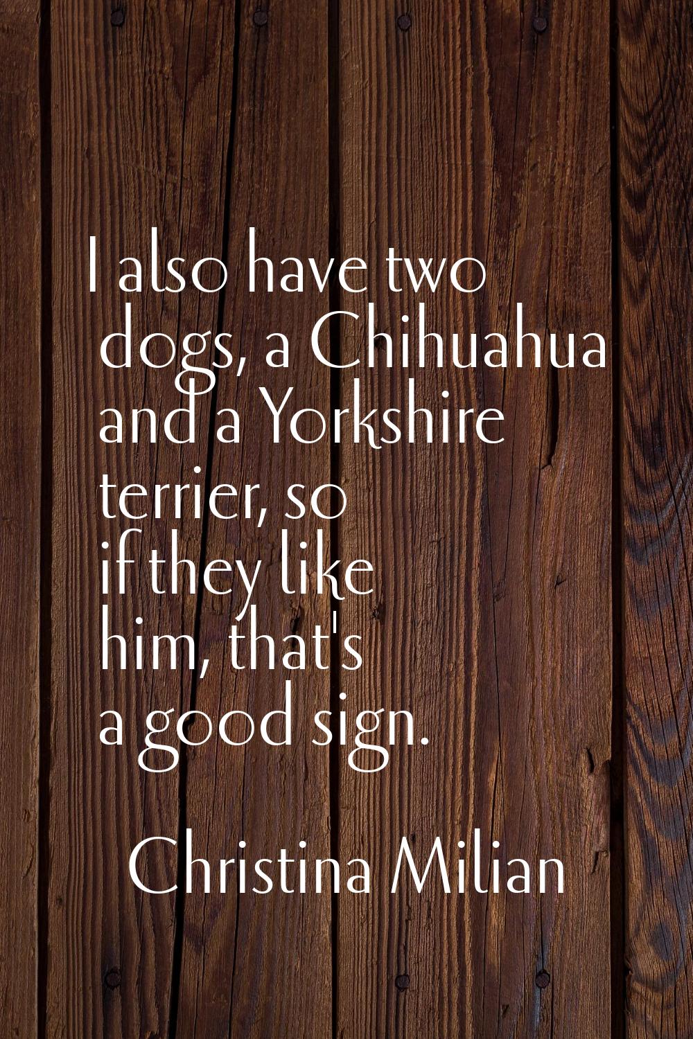 I also have two dogs, a Chihuahua and a Yorkshire terrier, so if they like him, that's a good sign.