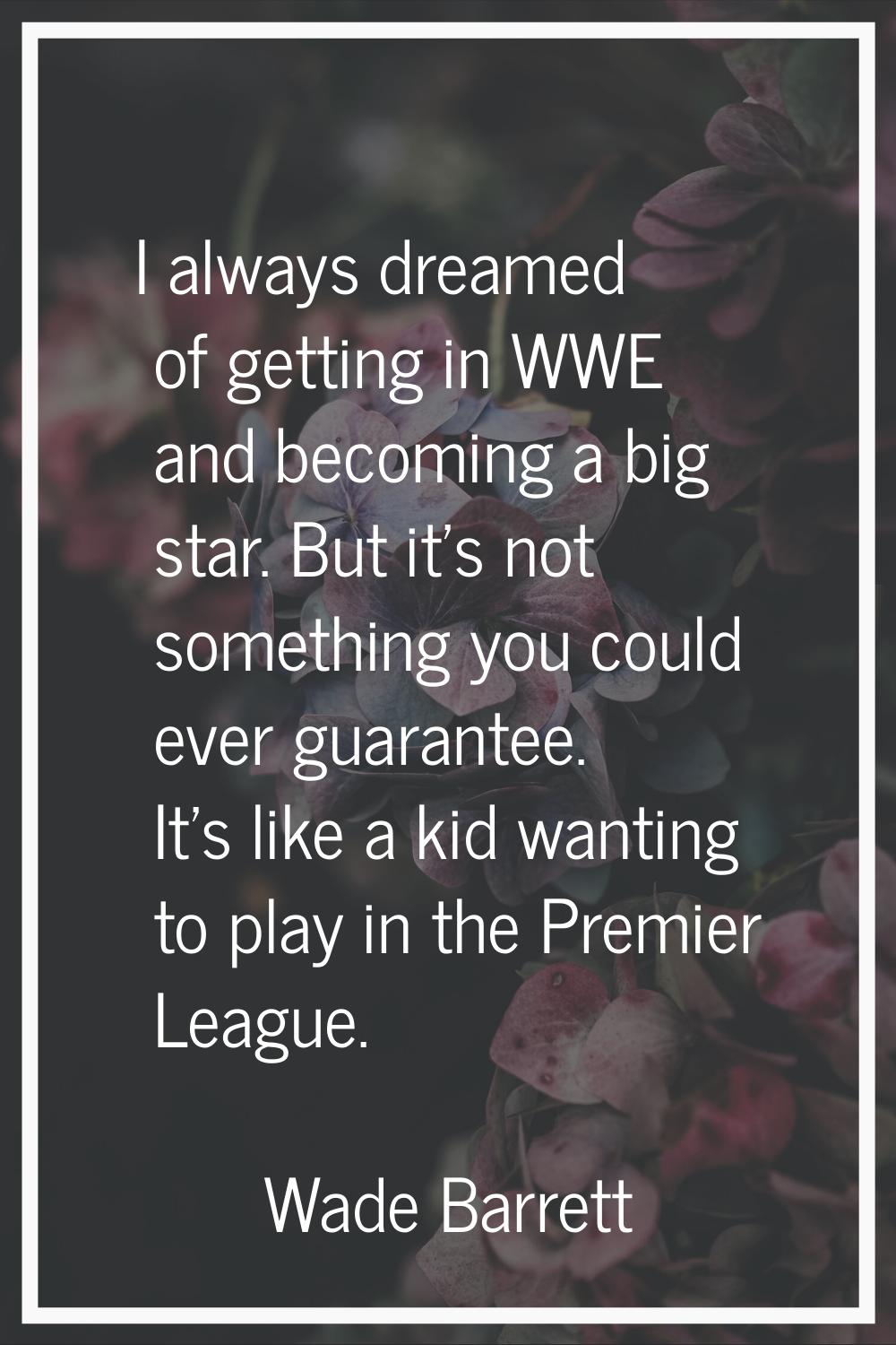 I always dreamed of getting in WWE and becoming a big star. But it's not something you could ever g