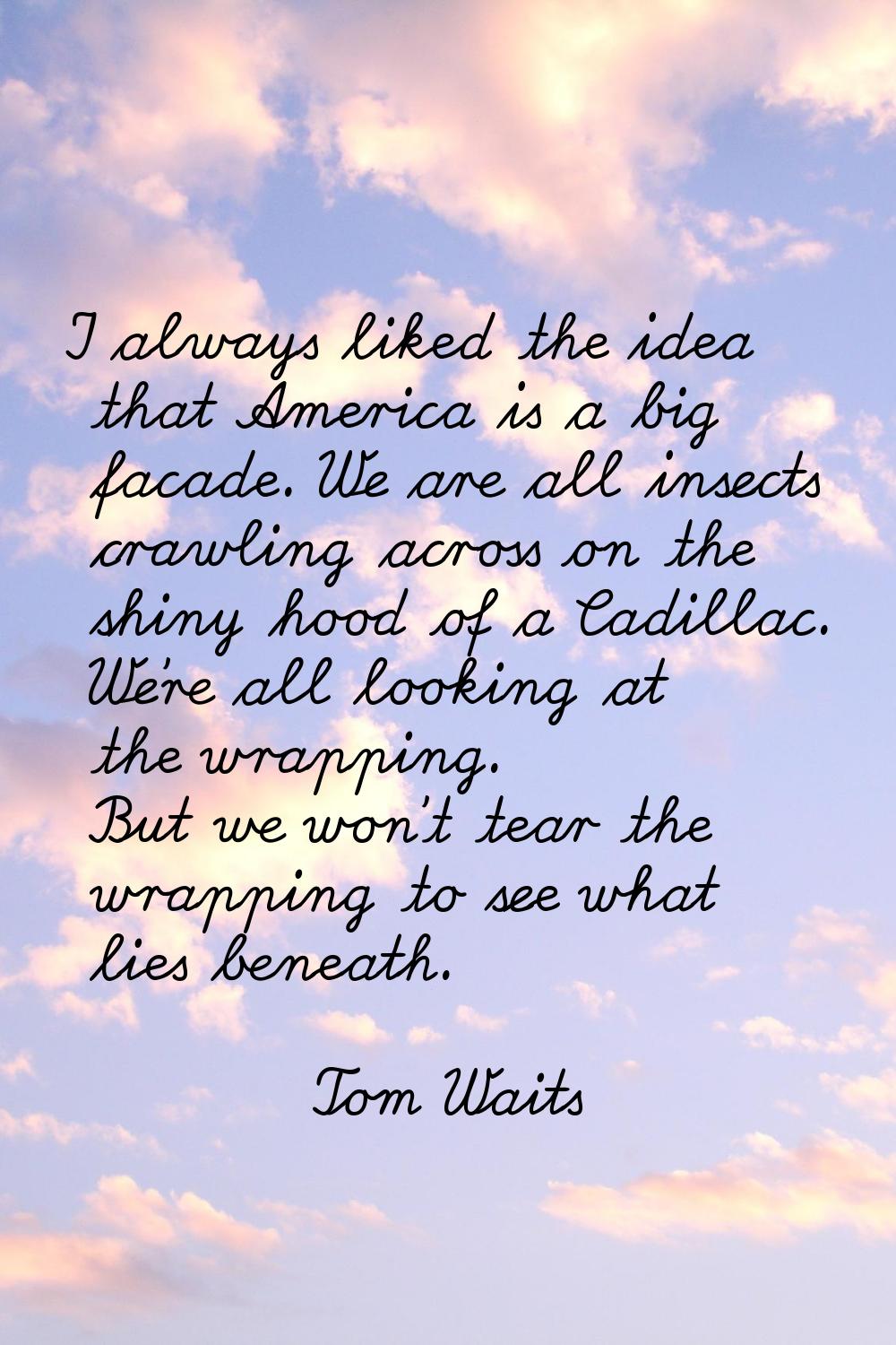I always liked the idea that America is a big facade. We are all insects crawling across on the shi