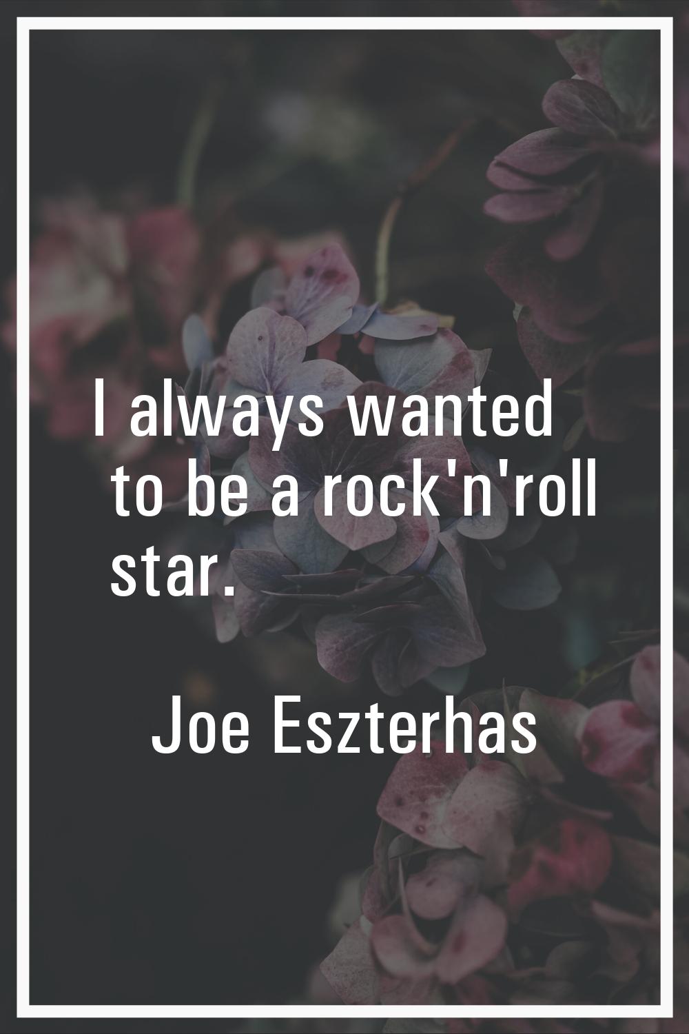 I always wanted to be a rock'n'roll star.