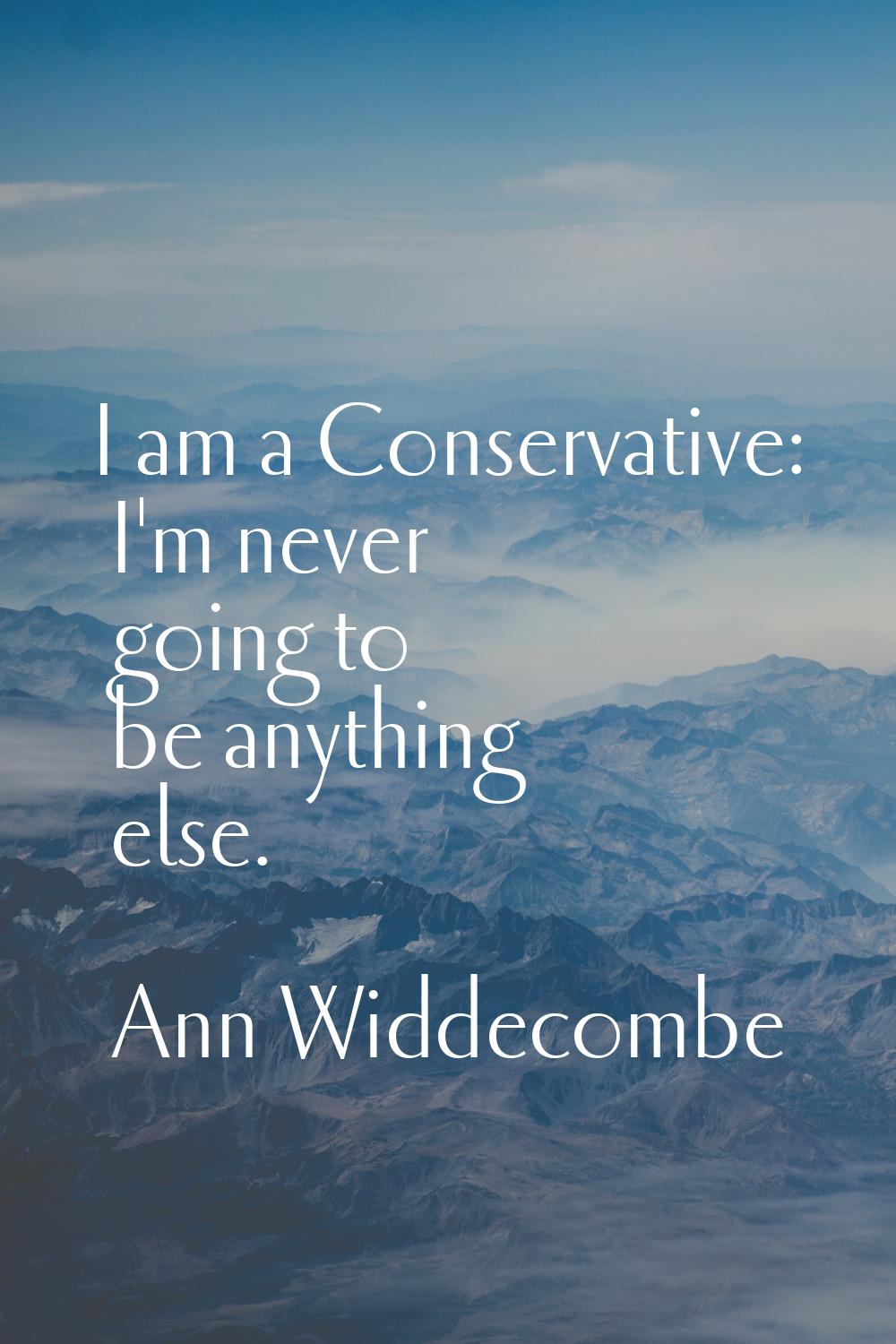 I am a Conservative: I'm never going to be anything else.