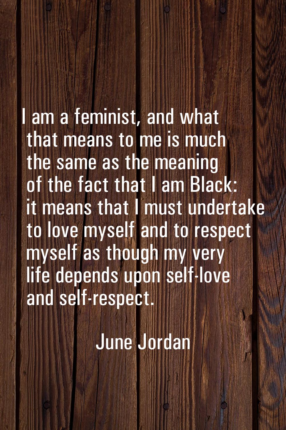 I am a feminist, and what that means to me is much the same as the meaning of the fact that I am Bl