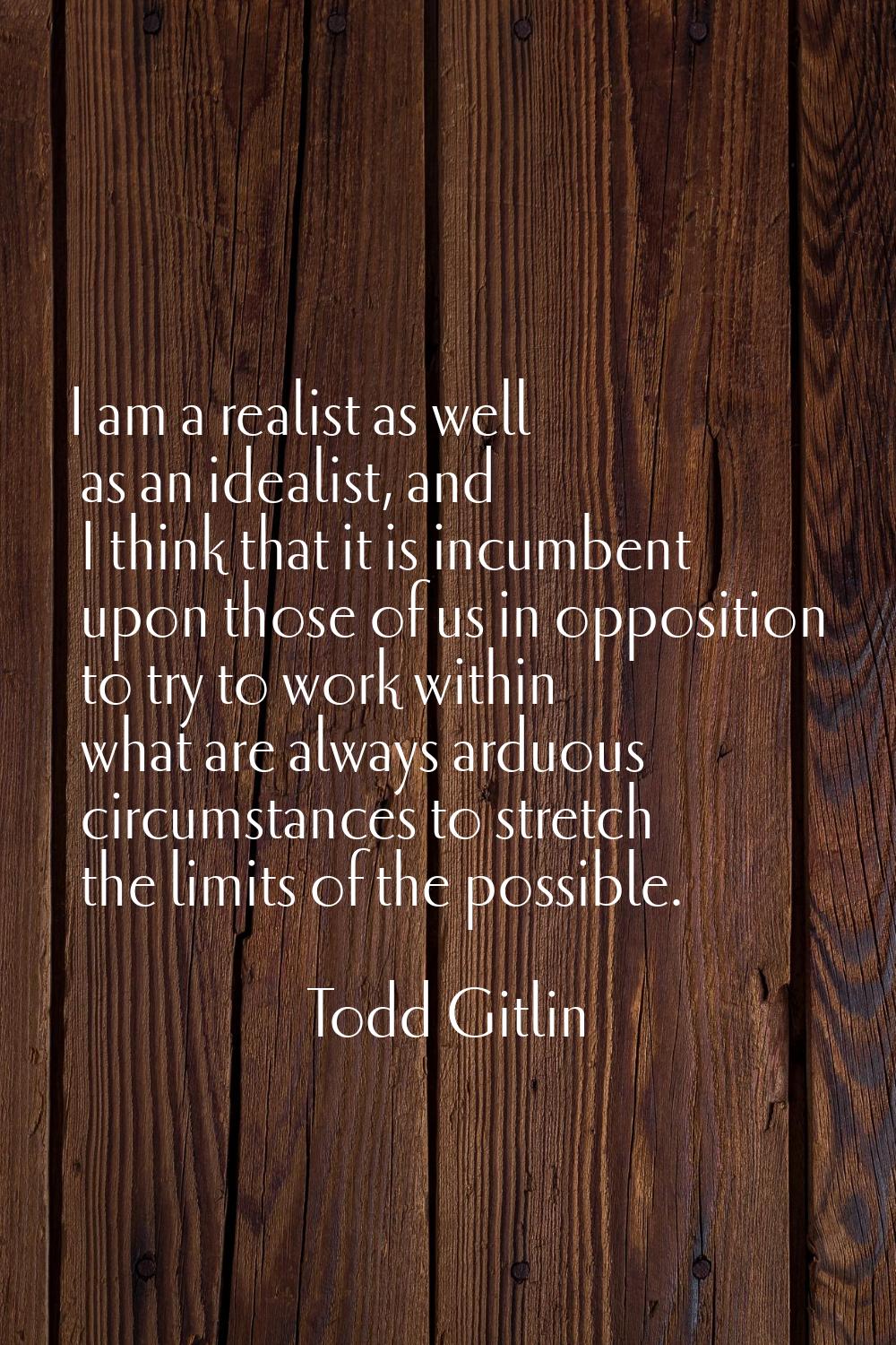 I am a realist as well as an idealist, and I think that it is incumbent upon those of us in opposit