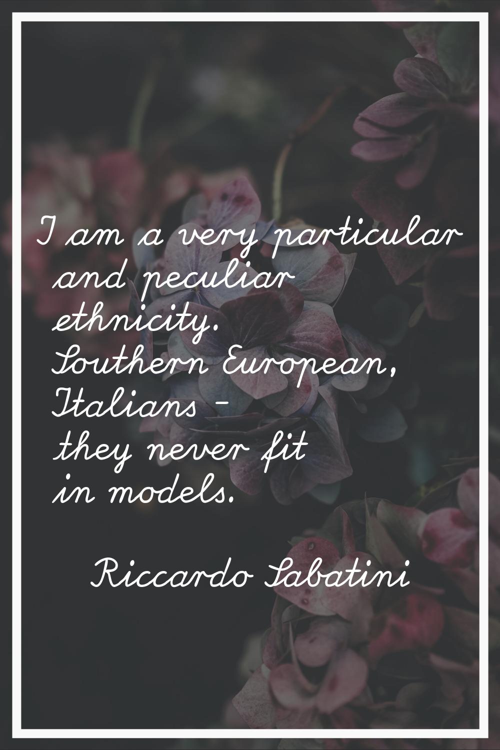 I am a very particular and peculiar ethnicity. Southern European, Italians - they never fit in mode