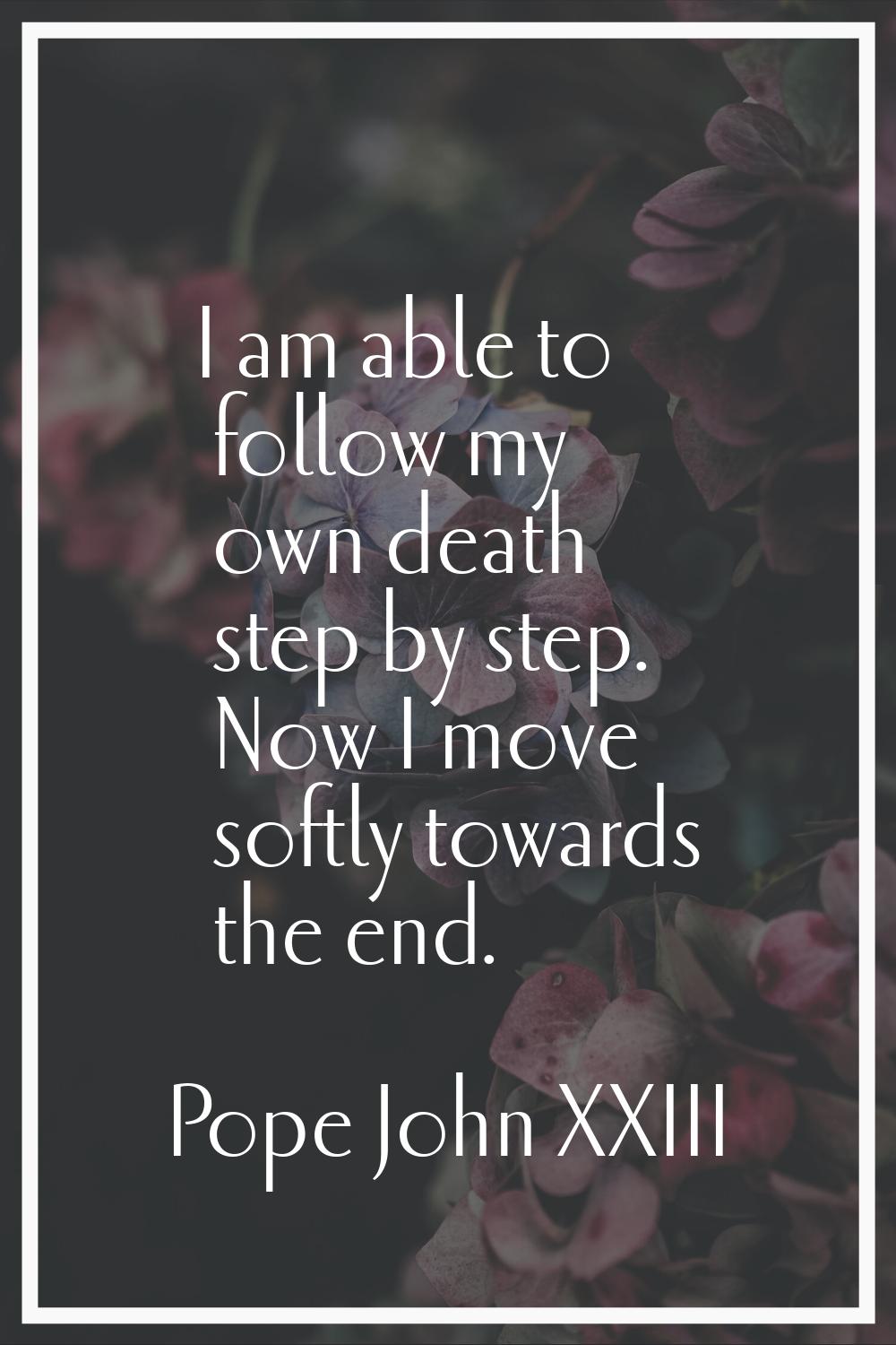 I am able to follow my own death step by step. Now I move softly towards the end.