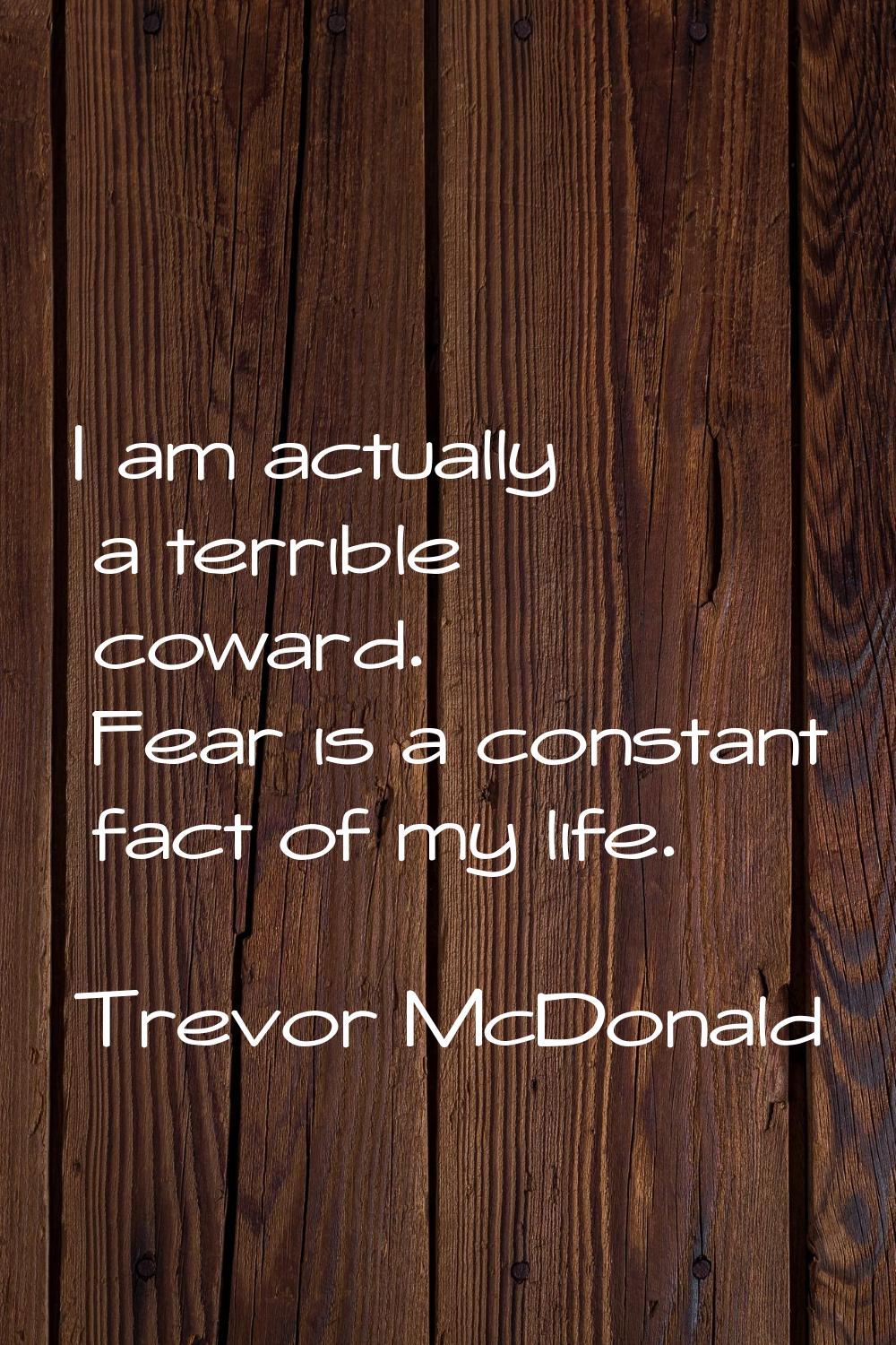 I am actually a terrible coward. Fear is a constant fact of my life.