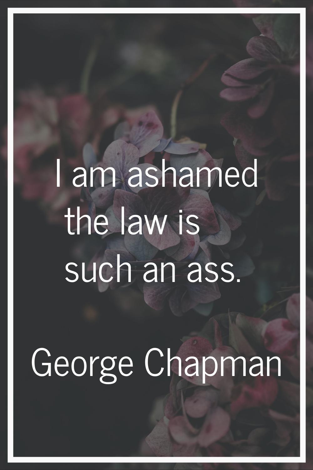 I am ashamed the law is such an ass.