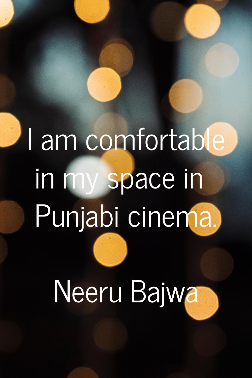 I am comfortable in my space in Punjabi cinema.