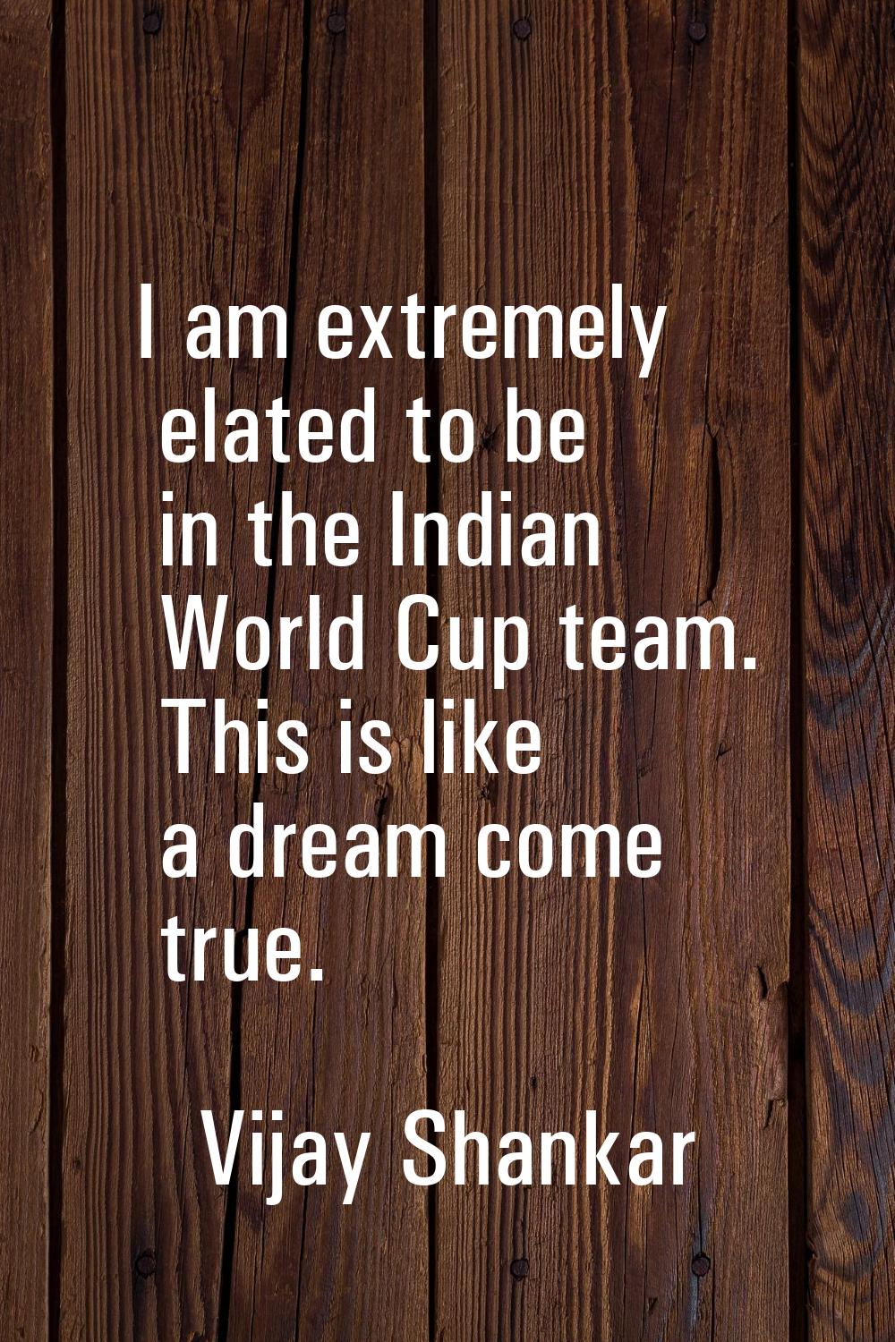 I am extremely elated to be in the Indian World Cup team. This is like a dream come true.