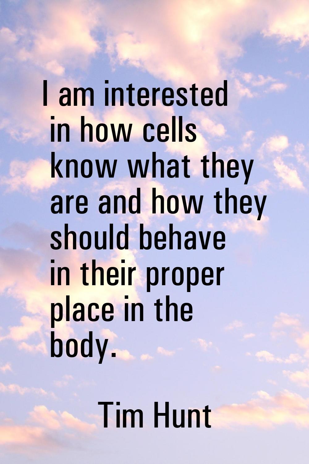 I am interested in how cells know what they are and how they should behave in their proper place in