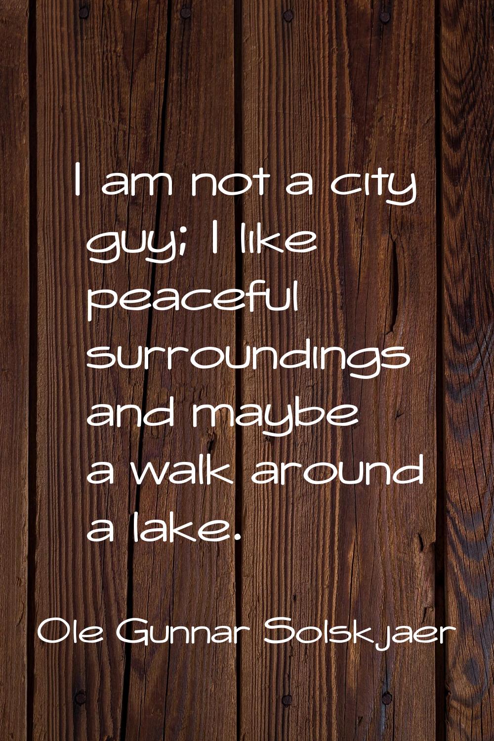 I am not a city guy; I like peaceful surroundings and maybe a walk around a lake.