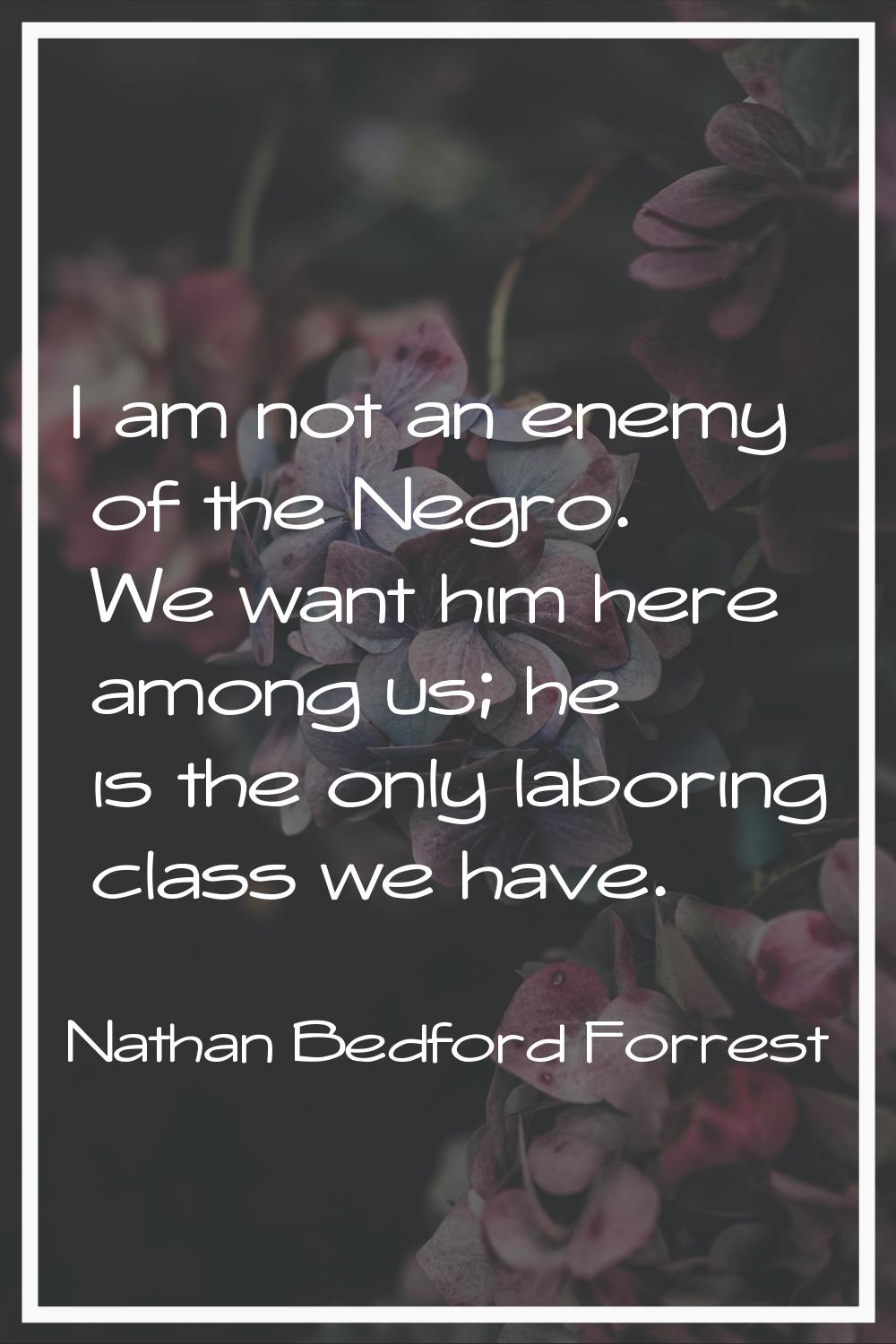 I am not an enemy of the Negro. We want him here among us; he is the only laboring class we have.