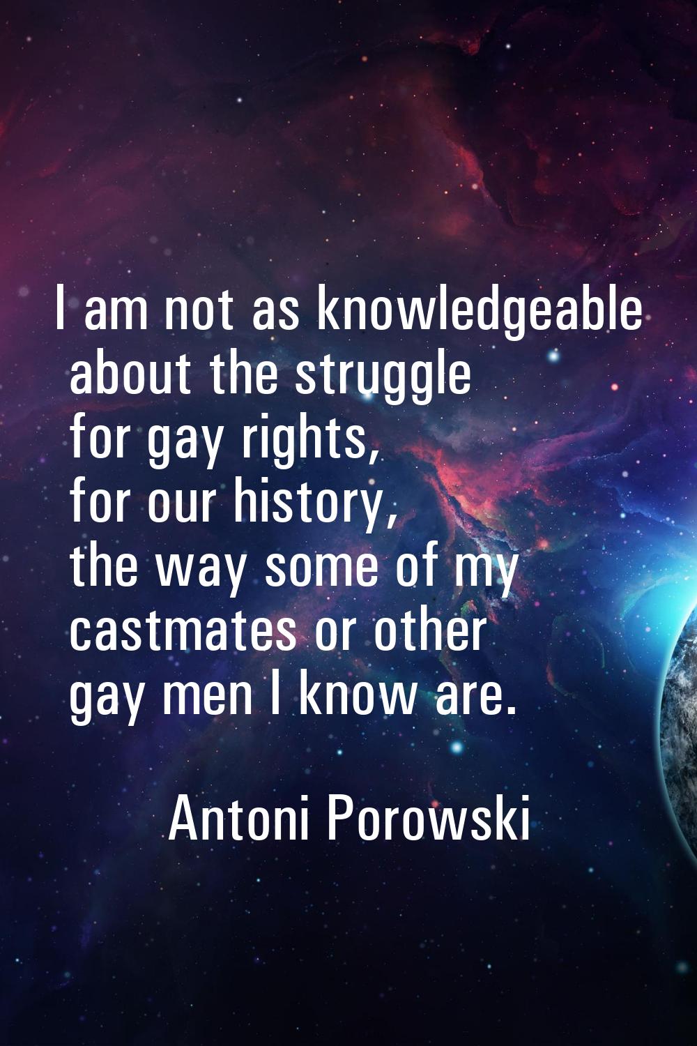 I am not as knowledgeable about the struggle for gay rights, for our history, the way some of my ca