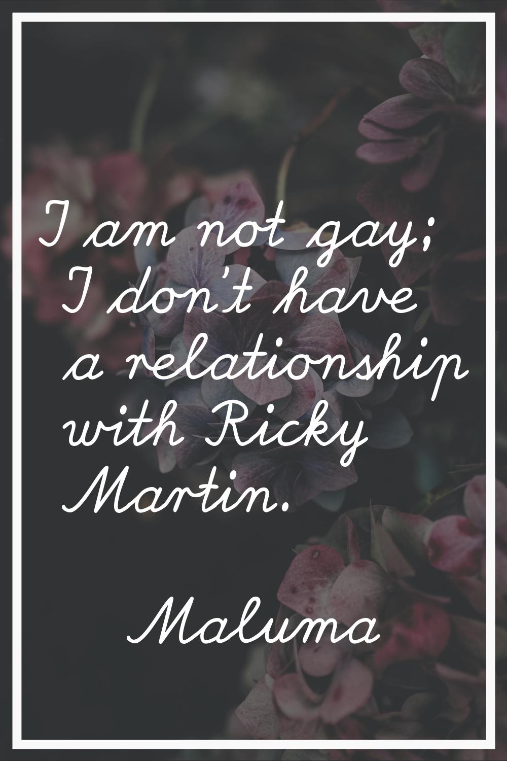 I am not gay; I don't have a relationship with Ricky Martin.