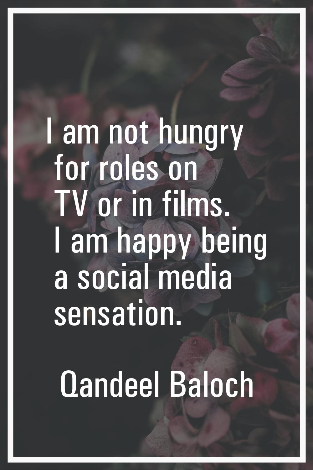 I am not hungry for roles on TV or in films. I am happy being a social media sensation.