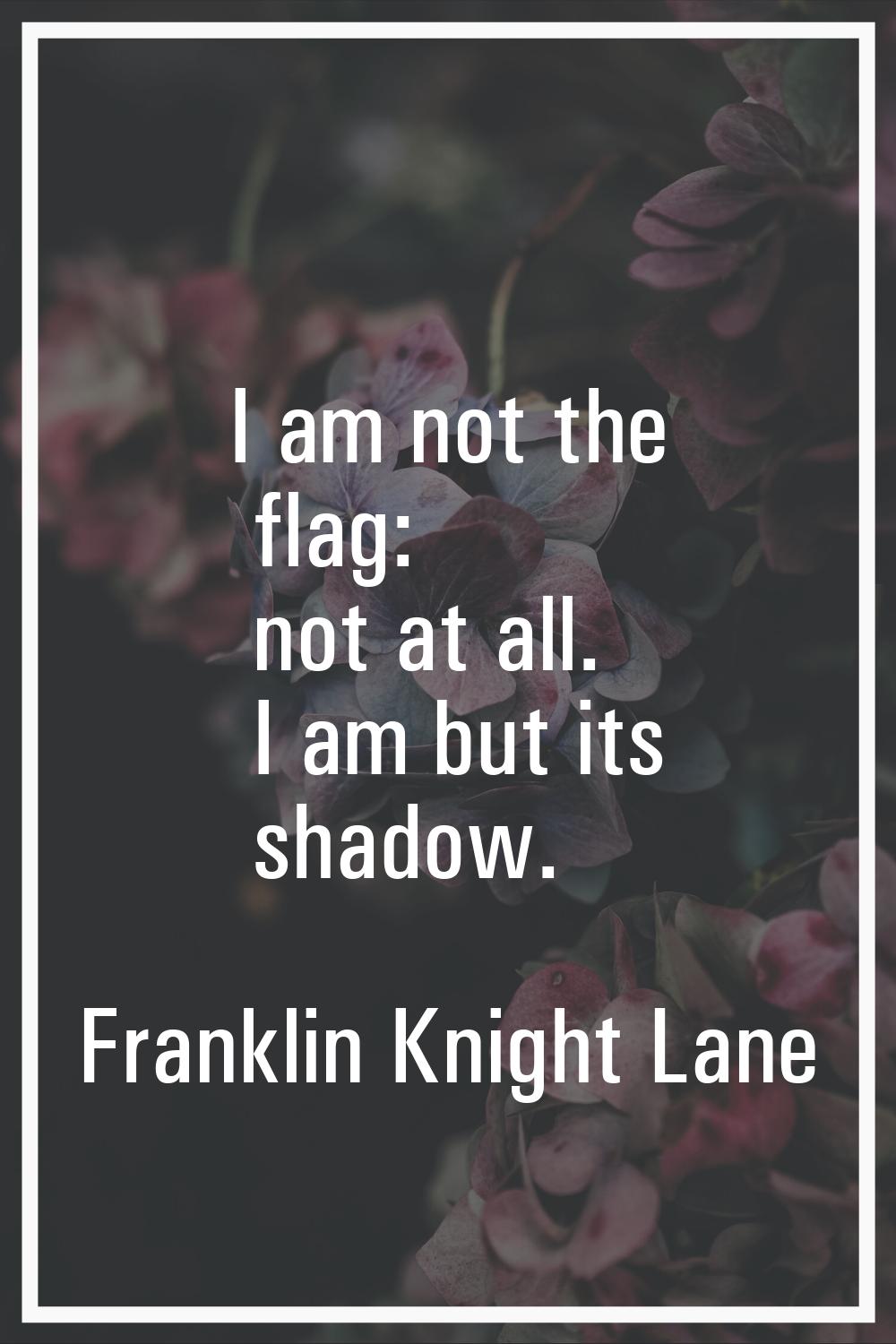 I am not the flag: not at all. I am but its shadow.