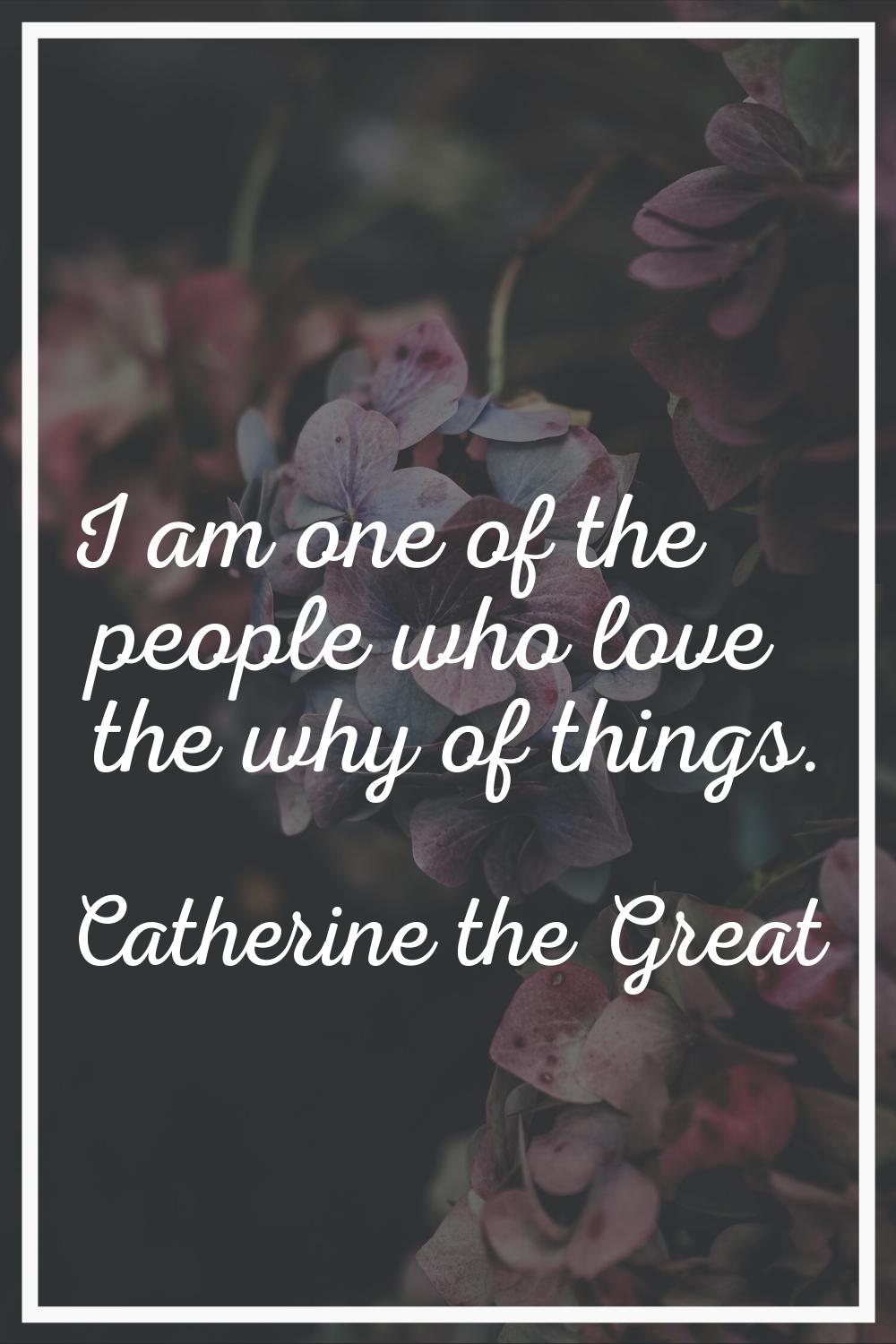 I am one of the people who love the why of things.