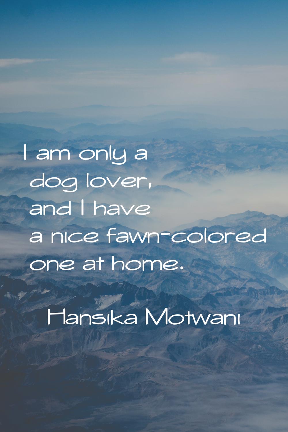 I am only a dog lover, and I have a nice fawn-colored one at home.
