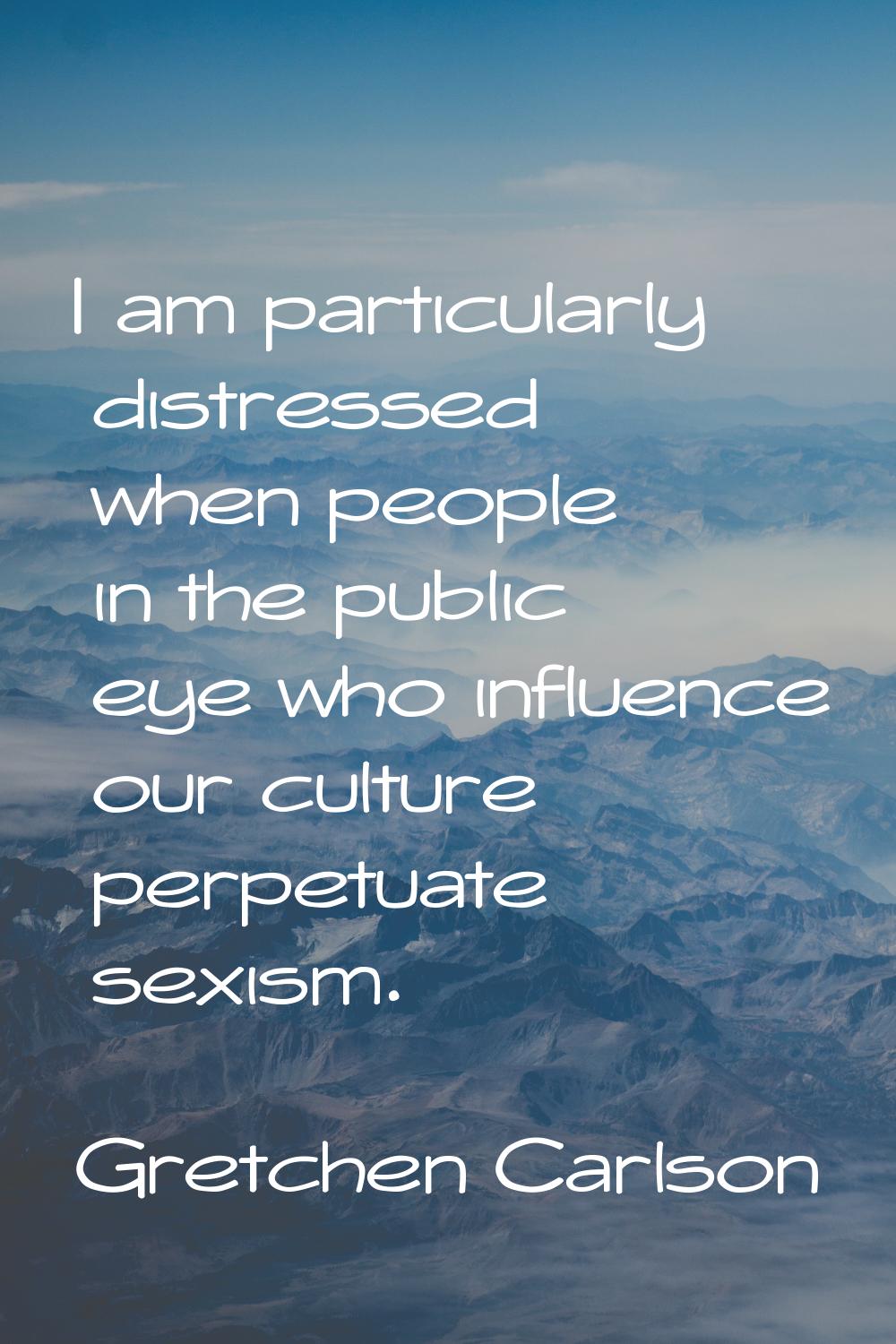 I am particularly distressed when people in the public eye who influence our culture perpetuate sex