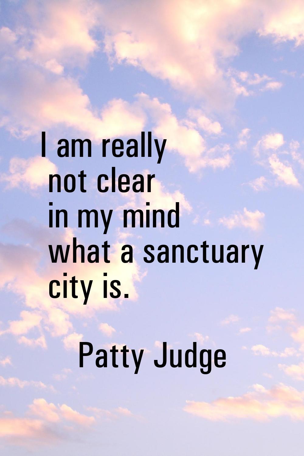 I am really not clear in my mind what a sanctuary city is.