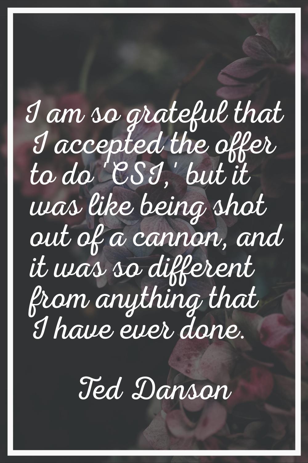 I am so grateful that I accepted the offer to do 'CSI,' but it was like being shot out of a cannon,