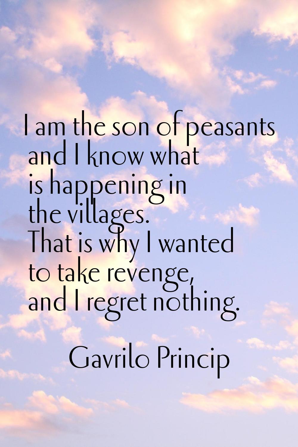 I am the son of peasants and I know what is happening in the villages. That is why I wanted to take