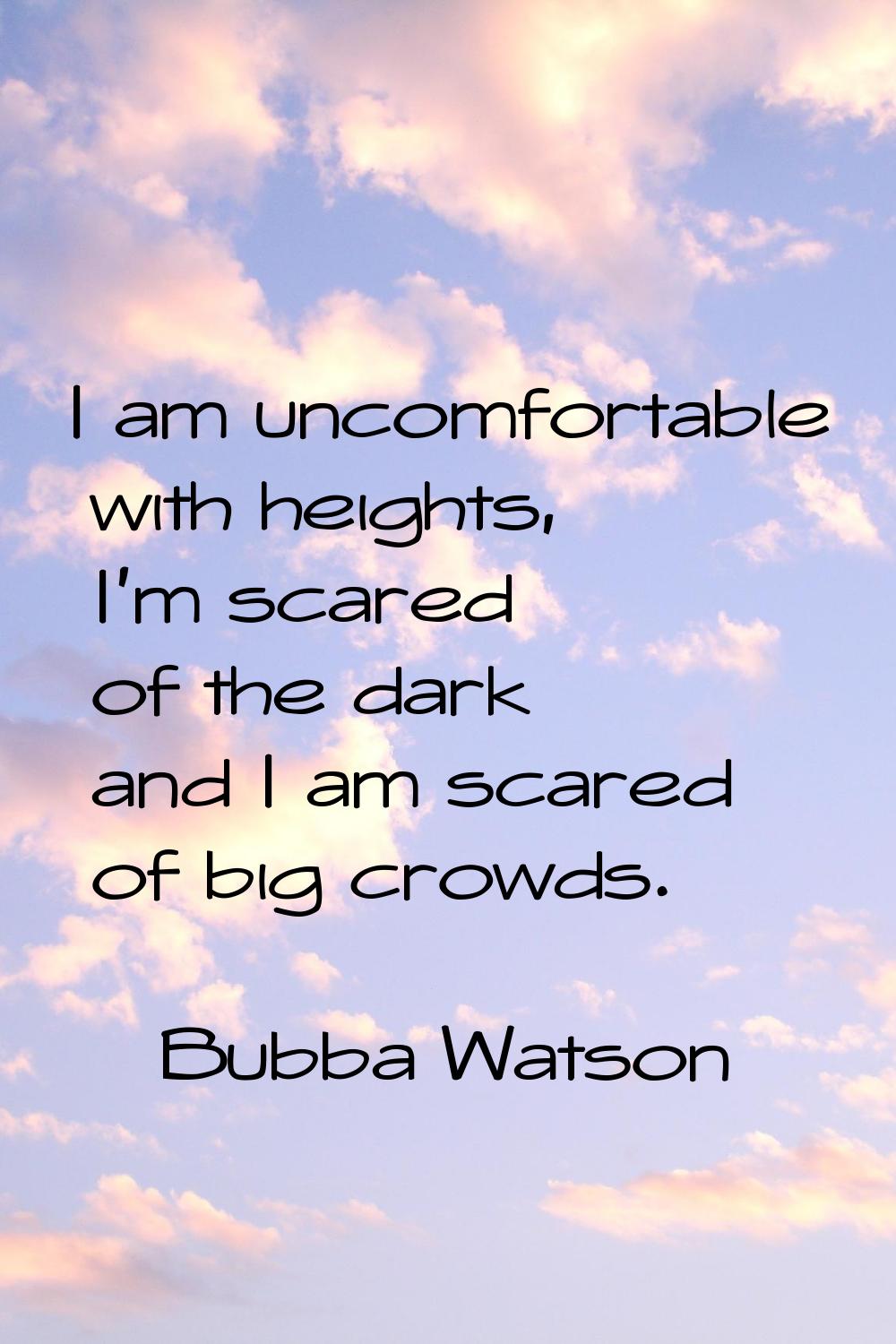 I am uncomfortable with heights, I'm scared of the dark and I am scared of big crowds.