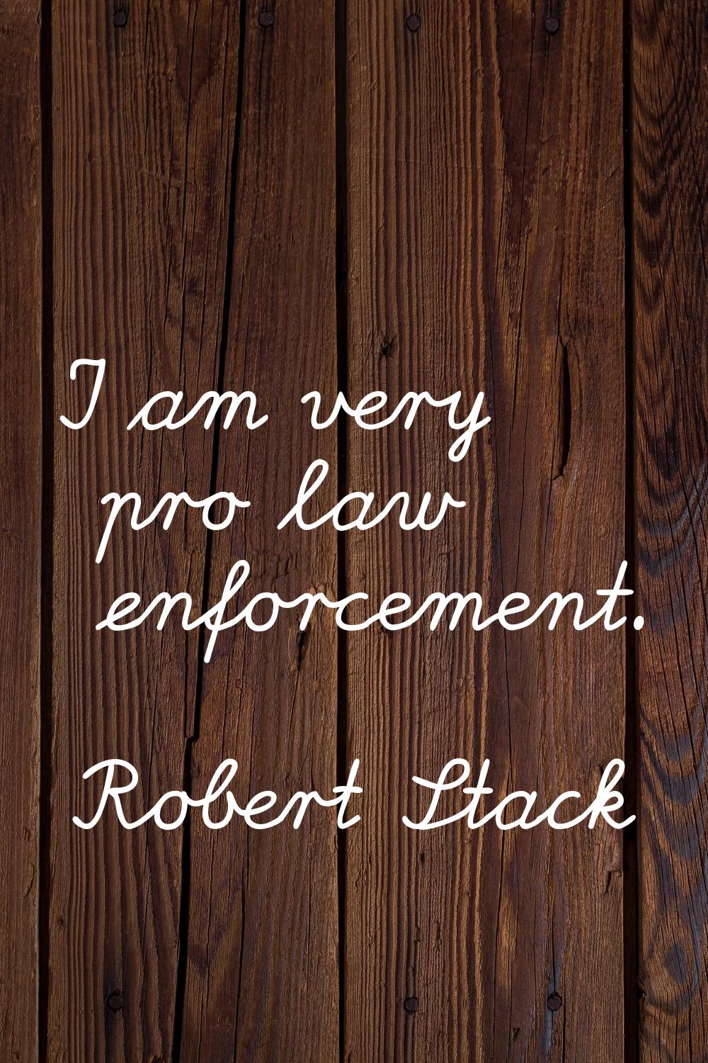 I am very pro law enforcement.