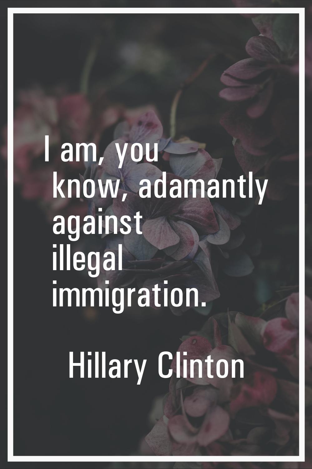 I am, you know, adamantly against illegal immigration.