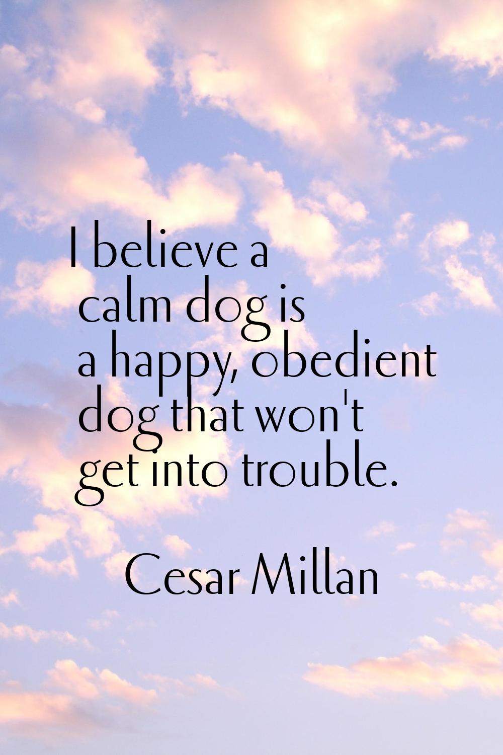 I believe a calm dog is a happy, obedient dog that won't get into trouble.