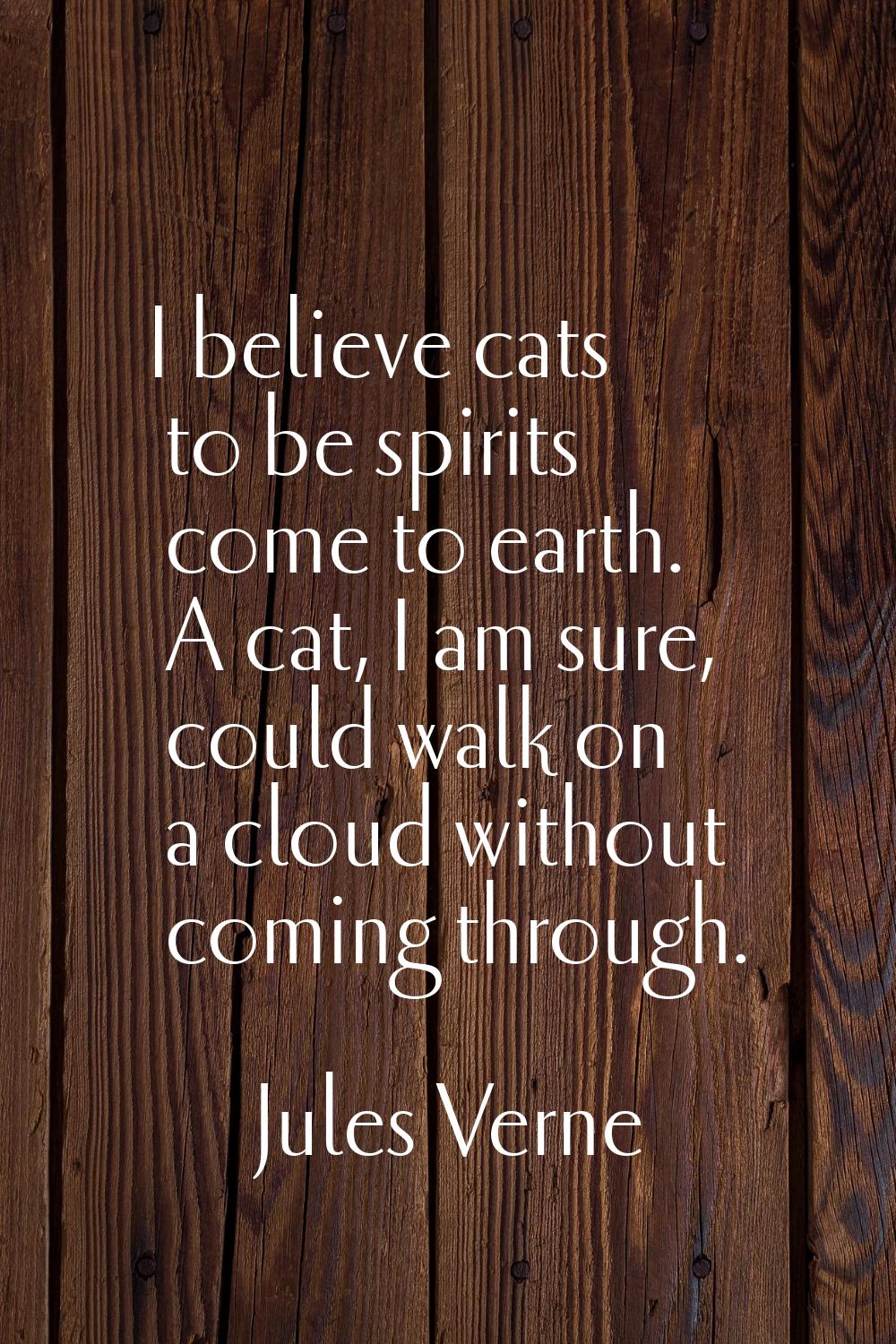 I believe cats to be spirits come to earth. A cat, I am sure, could walk on a cloud without coming 