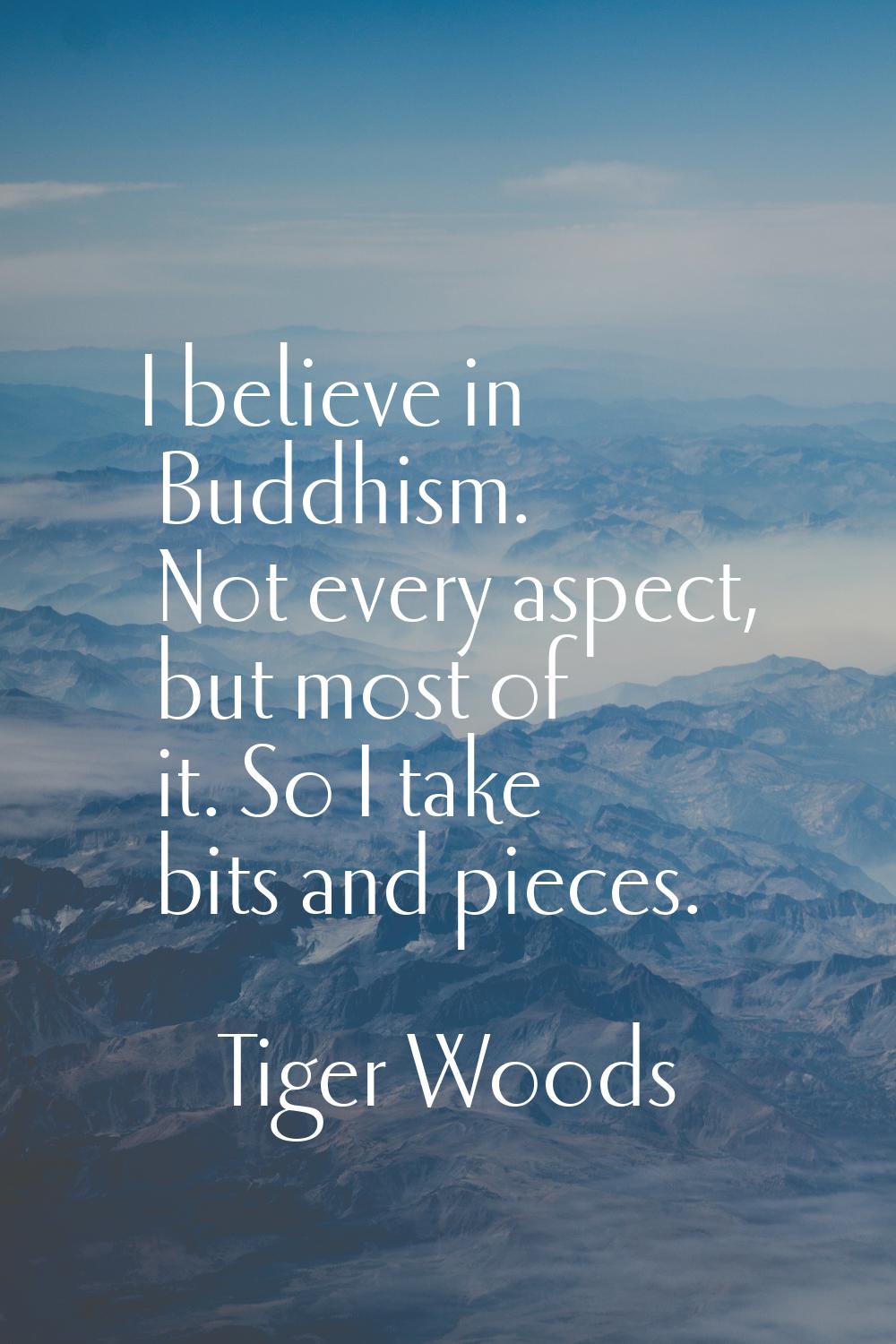 I believe in Buddhism. Not every aspect, but most of it. So I take bits and pieces.