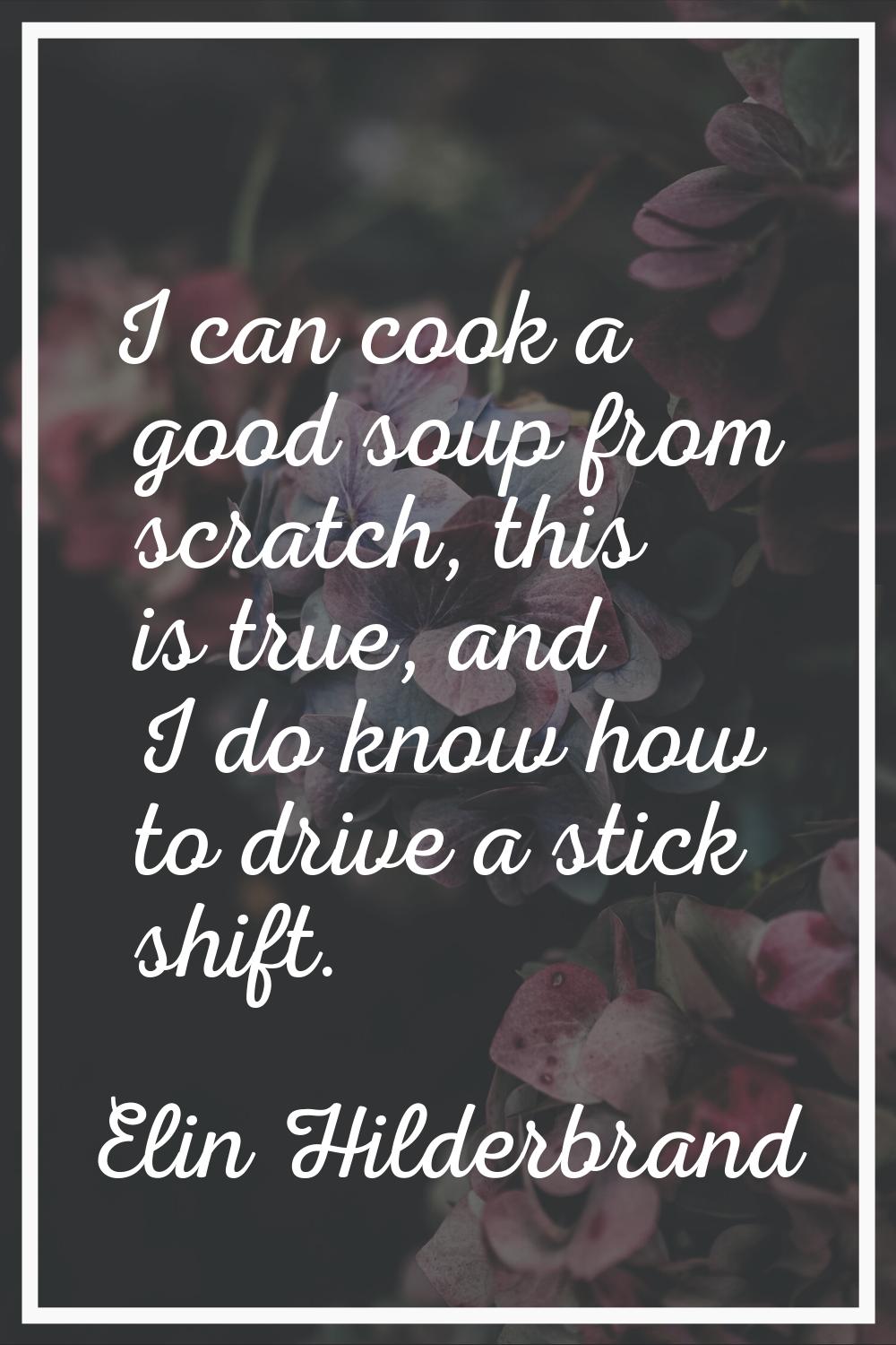 I can cook a good soup from scratch, this is true, and I do know how to drive a stick shift.