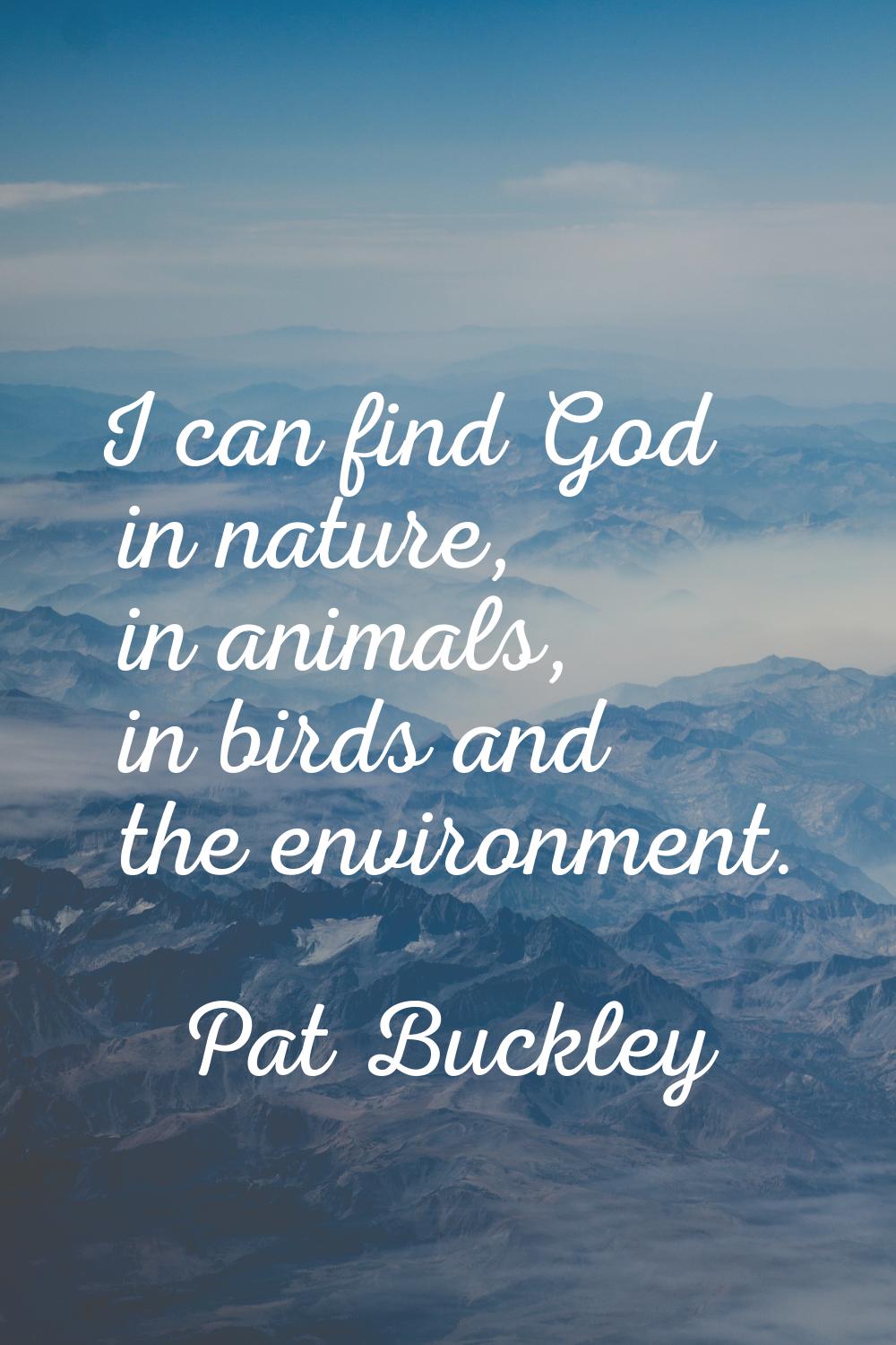 I can find God in nature, in animals, in birds and the environment.