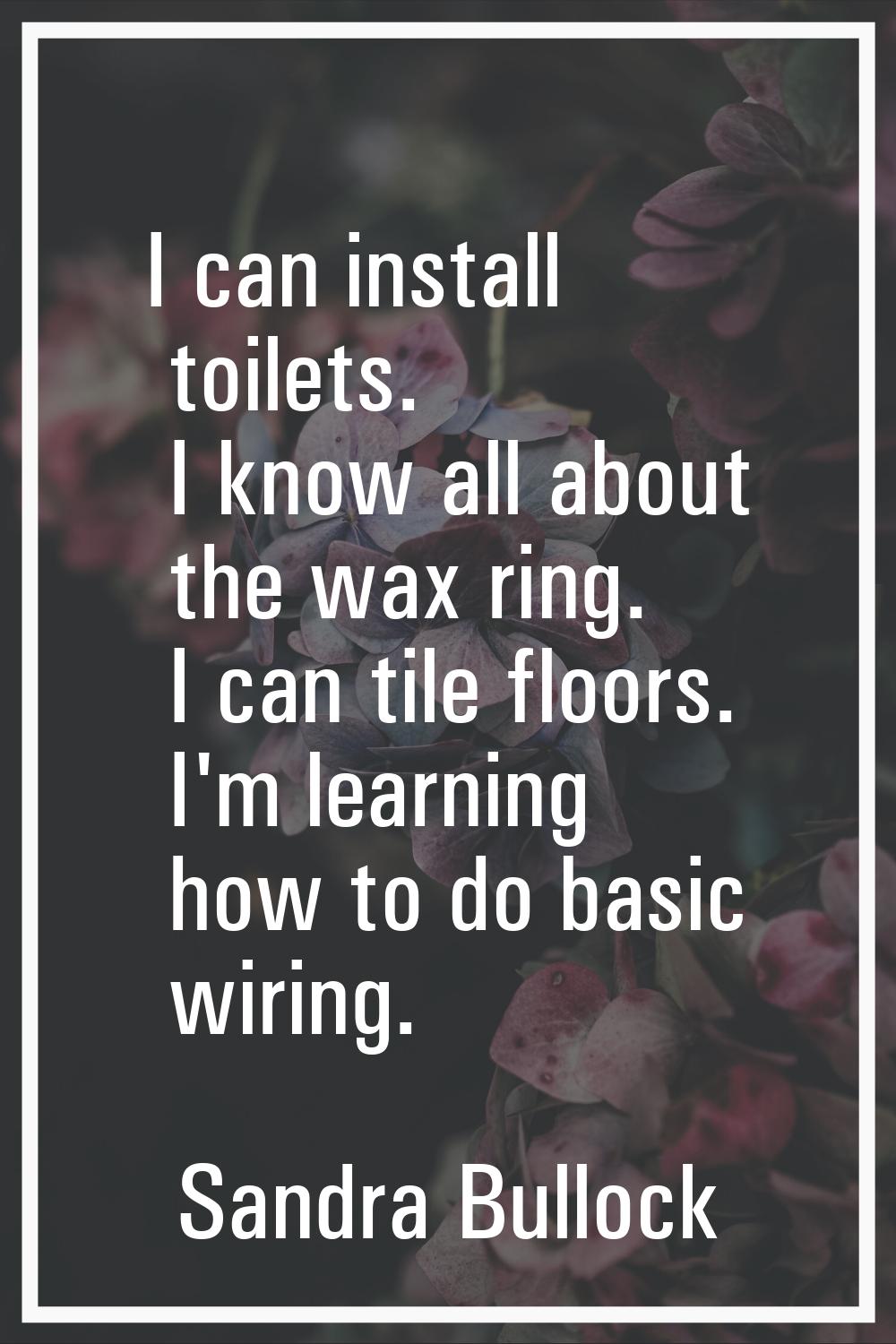 I can install toilets. I know all about the wax ring. I can tile floors. I'm learning how to do bas