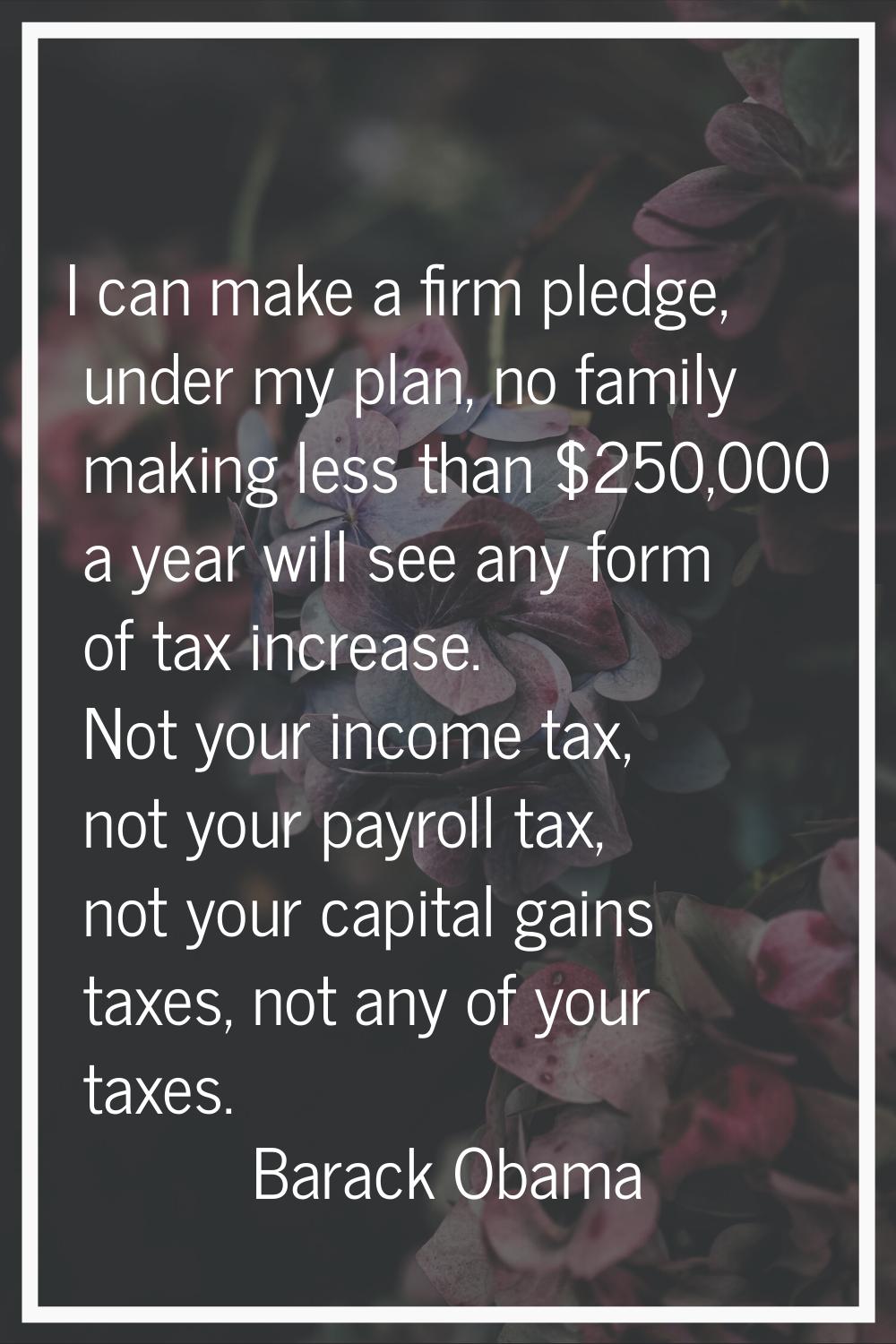 I can make a firm pledge, under my plan, no family making less than $250,000 a year will see any fo