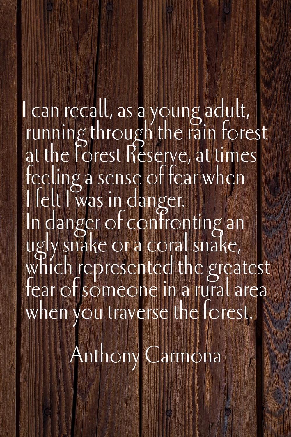 I can recall, as a young adult, running through the rain forest at the Forest Reserve, at times fee