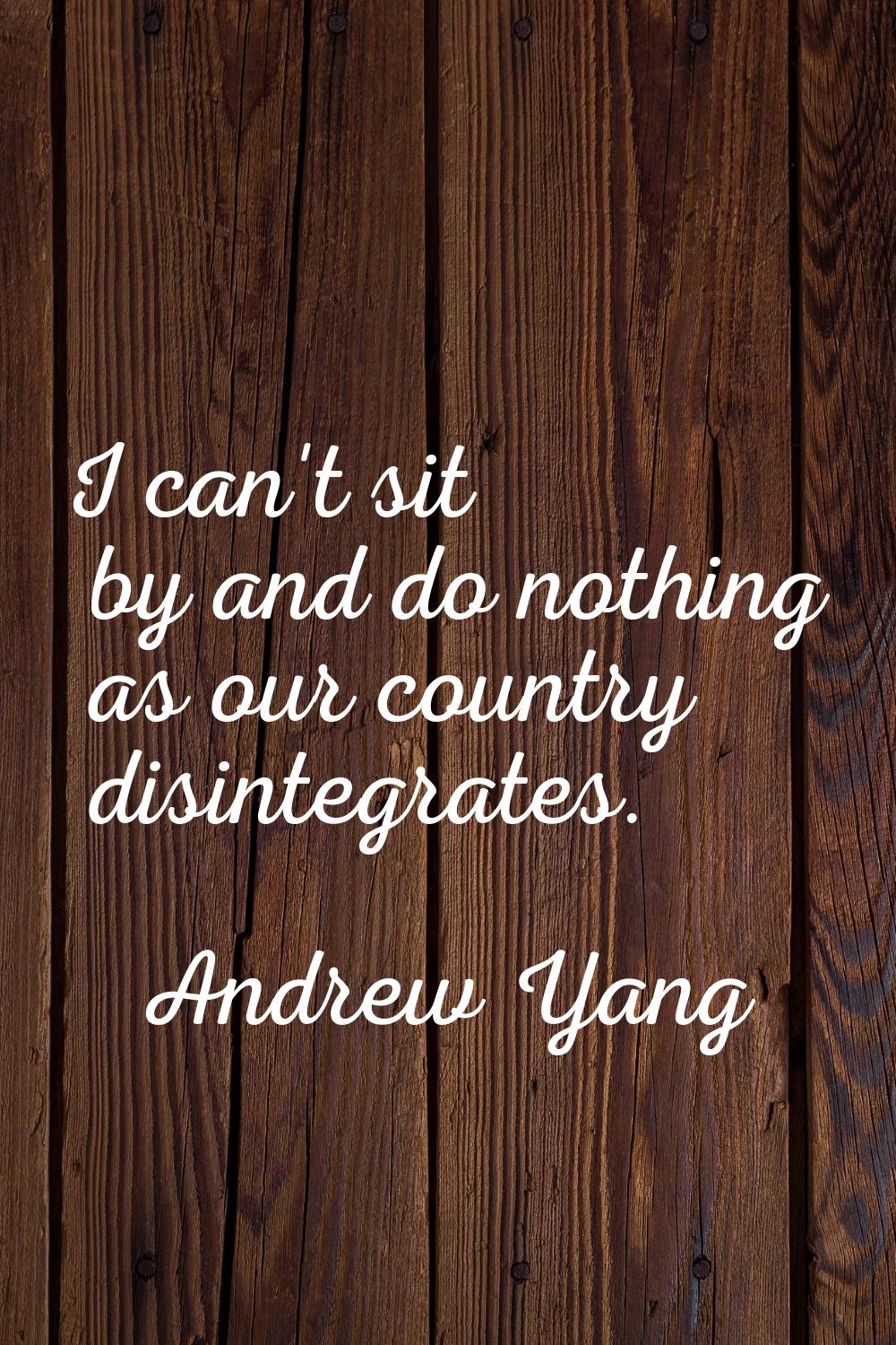 I can't sit by and do nothing as our country disintegrates.