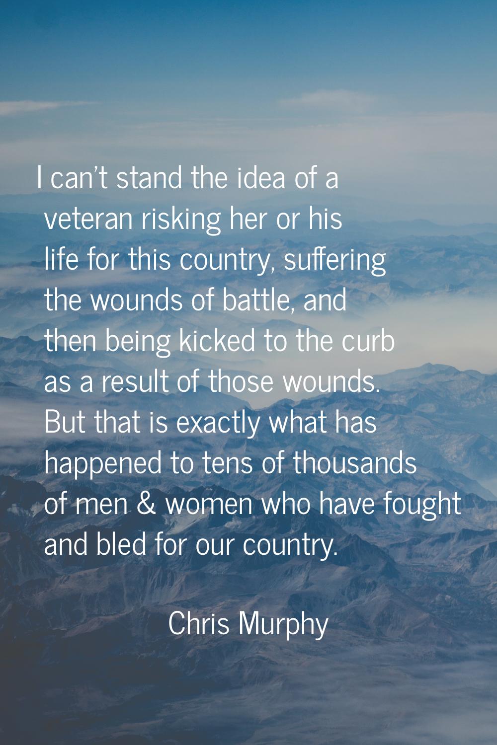 I can't stand the idea of a veteran risking her or his life for this country, suffering the wounds 