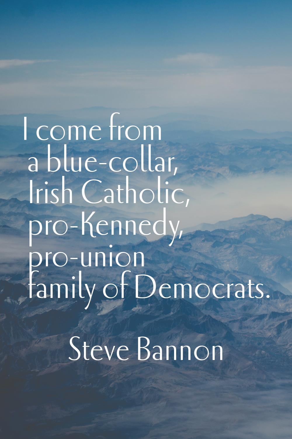 I come from a blue-collar, Irish Catholic, pro-Kennedy, pro-union family of Democrats.