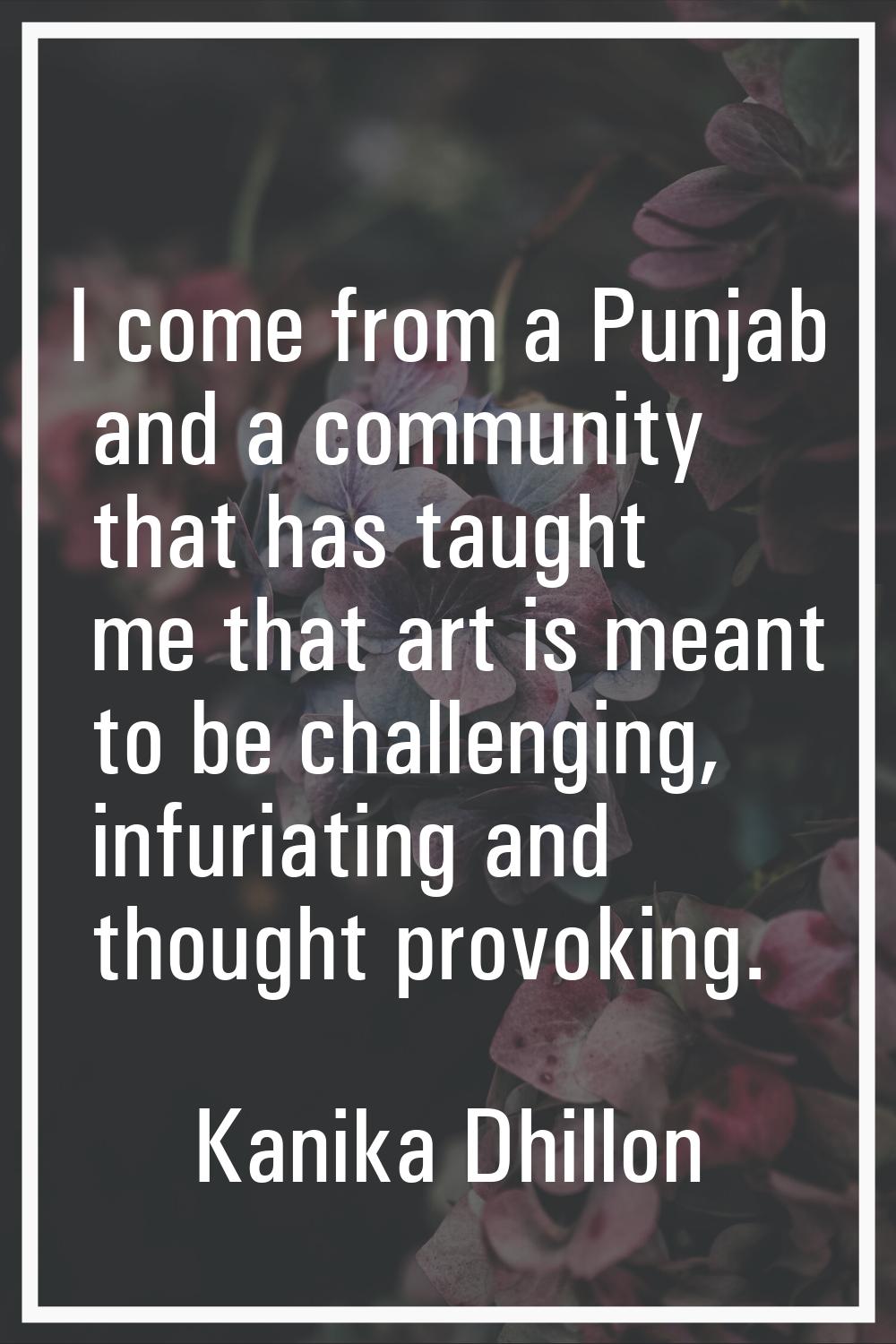 I come from a Punjab and a community that has taught me that art is meant to be challenging, infuri