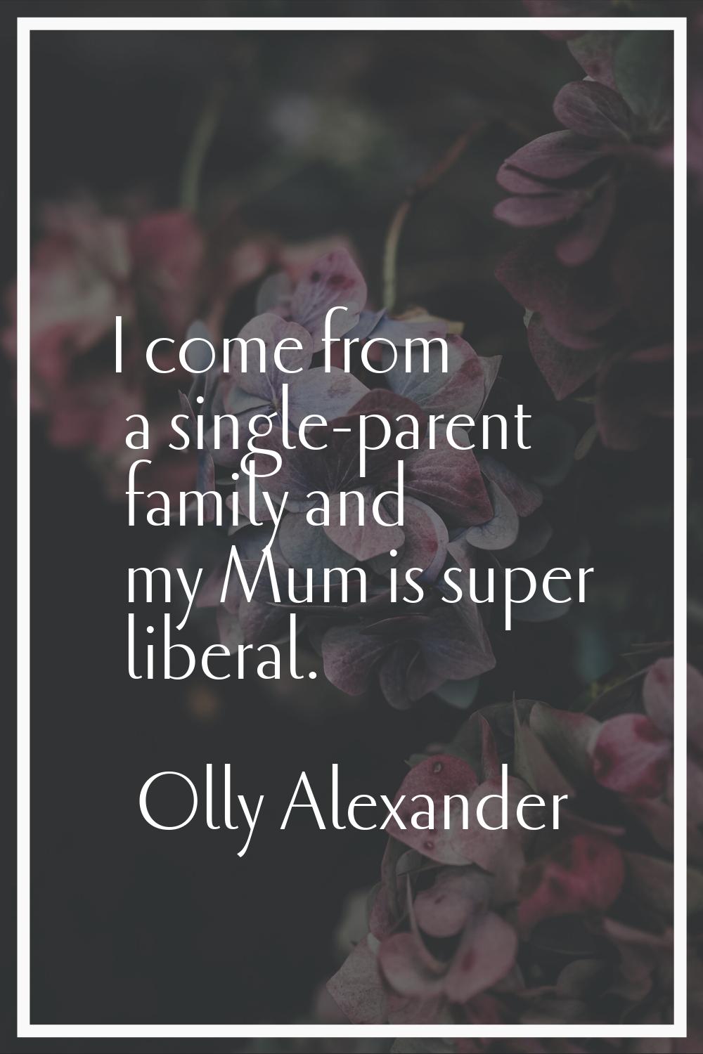 I come from a single-parent family and my Mum is super liberal.